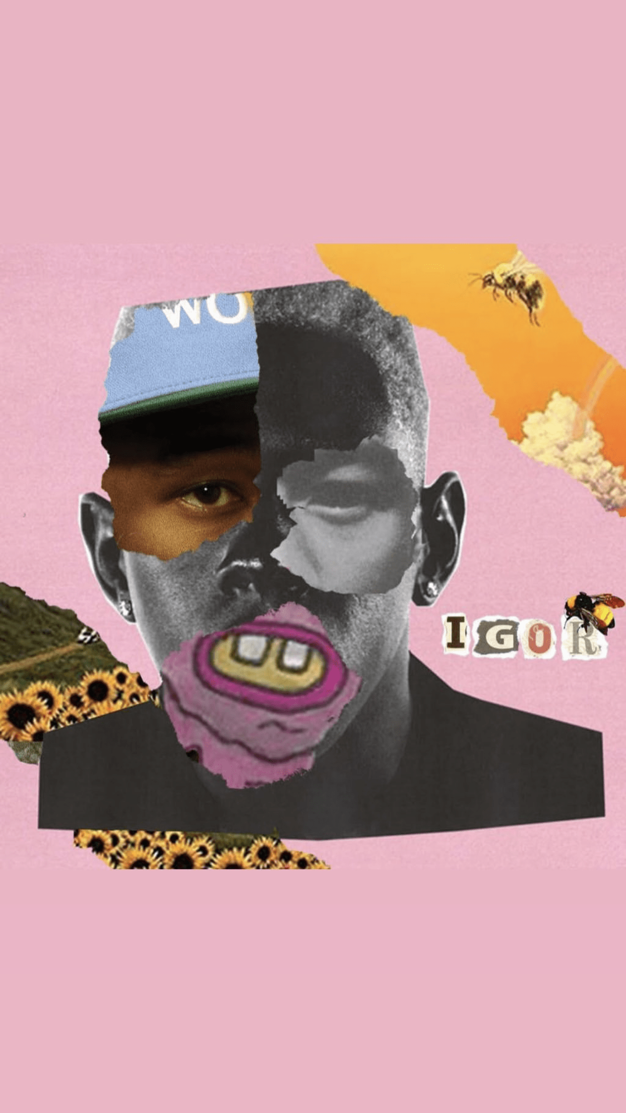 Flower Boy Wallpapers