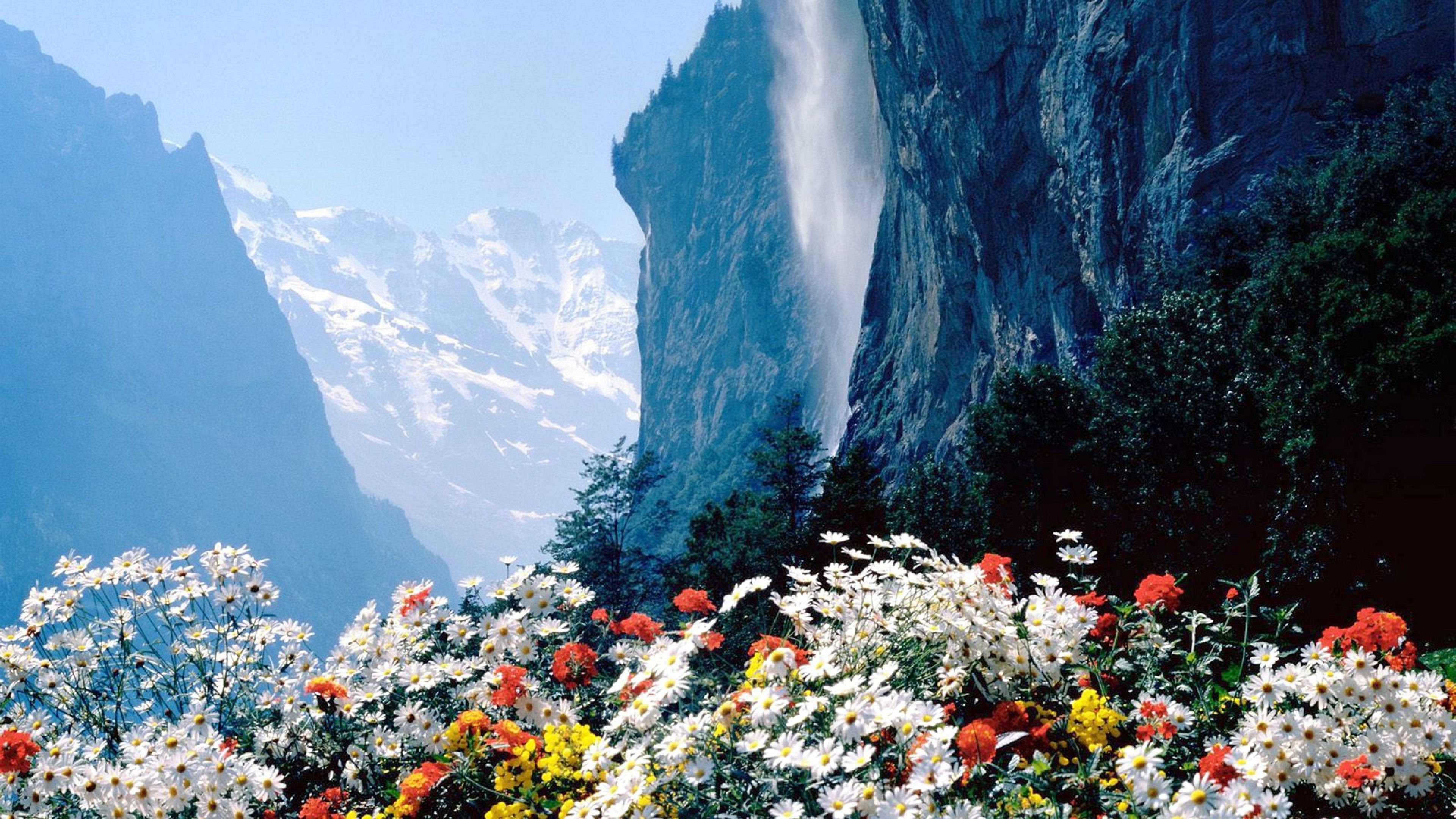 Flower Mountain Wallpapers