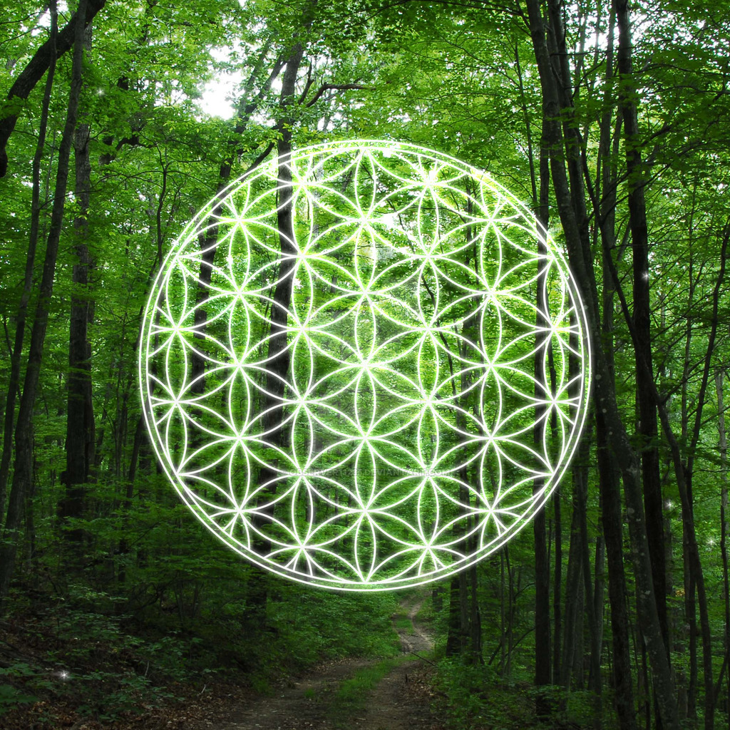 Flower Of Life Wallpapers