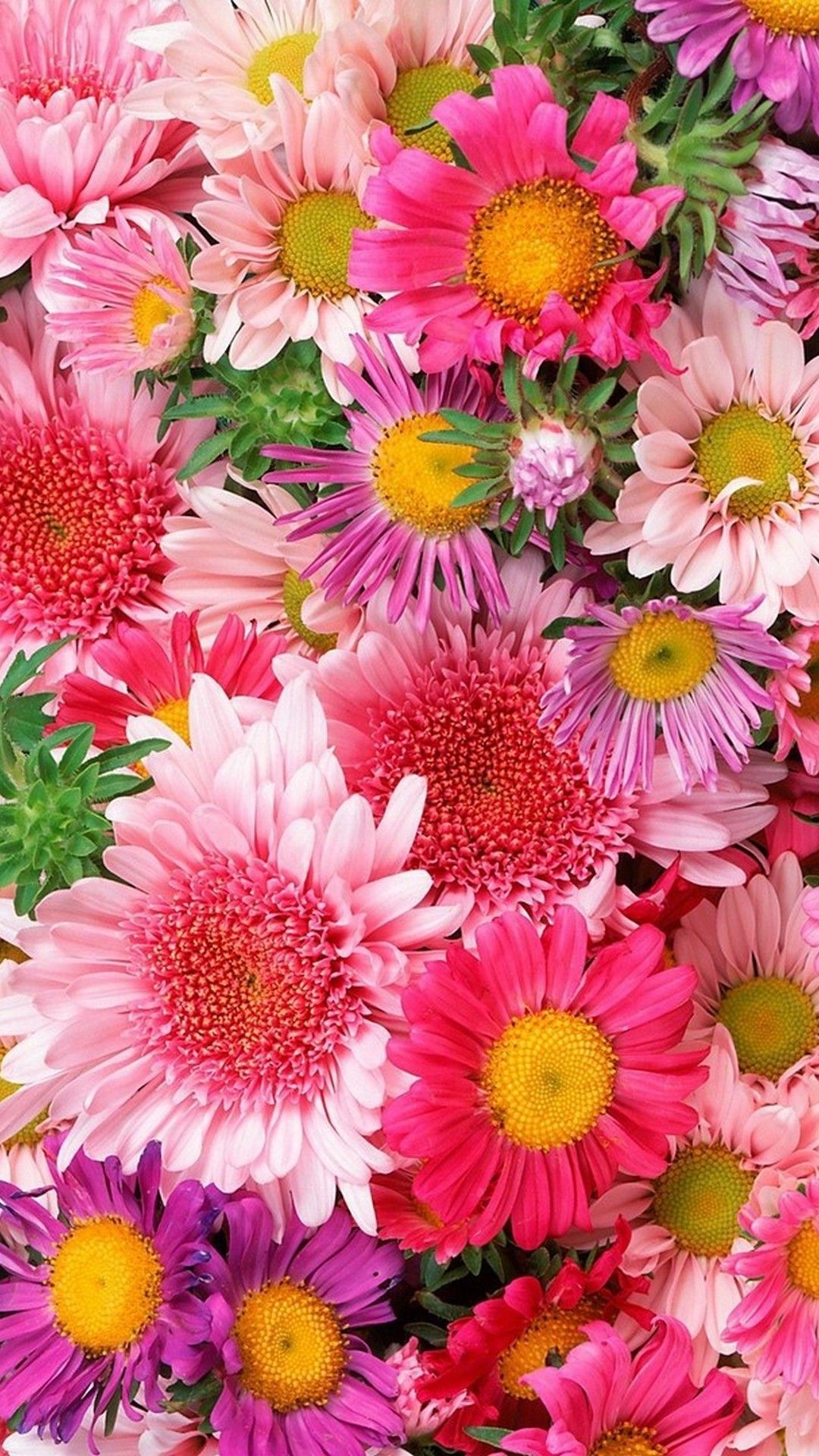 Flower For Android Wallpapers