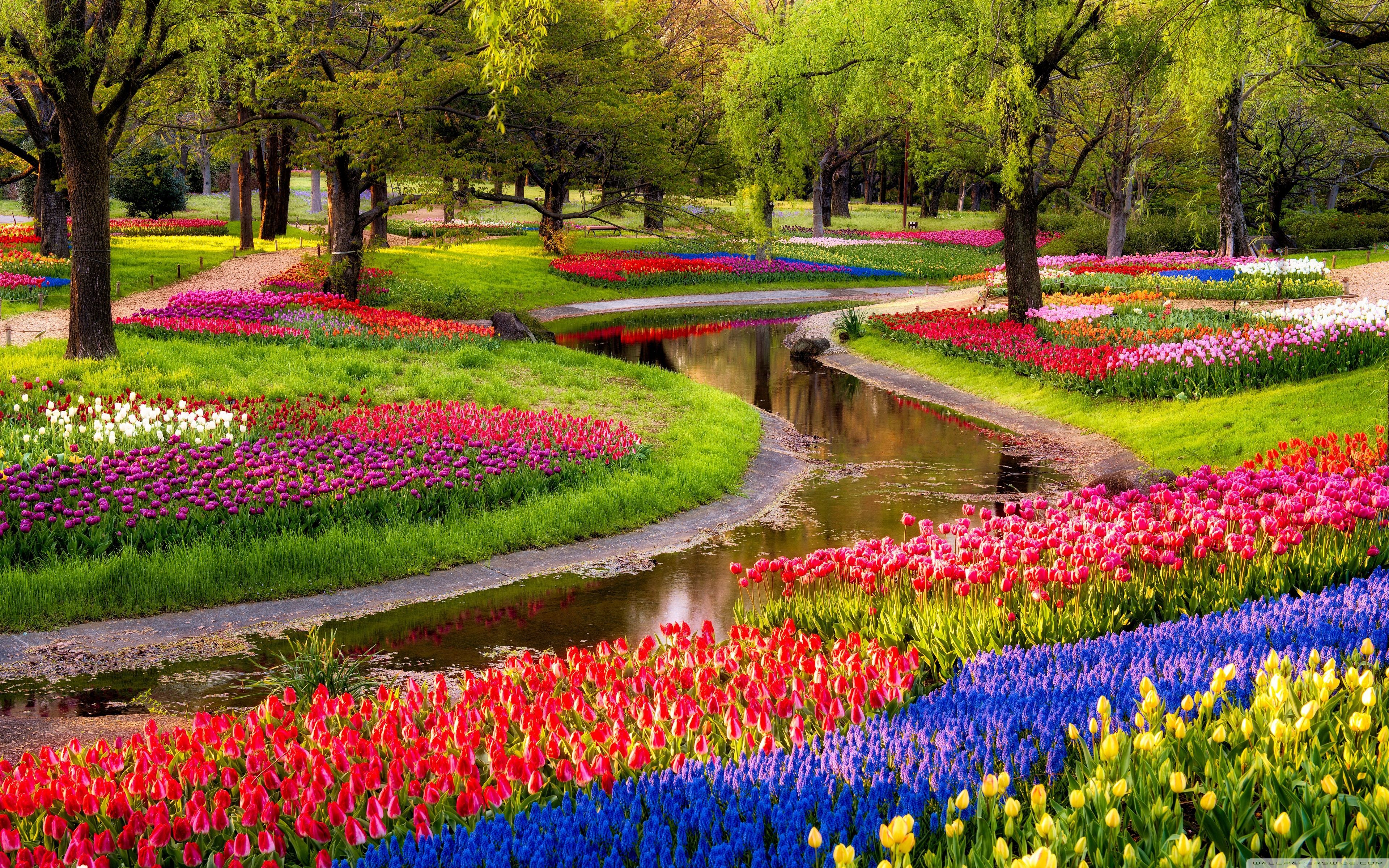 Flowers Garden Wallpapers