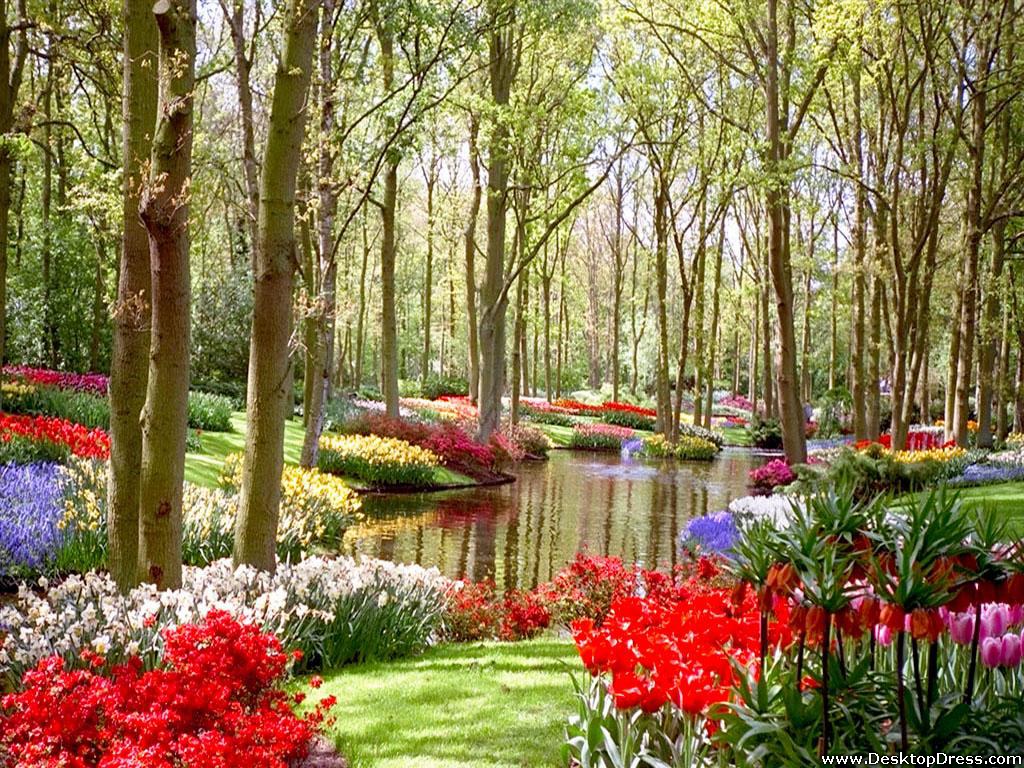 Flowers Garden Wallpapers