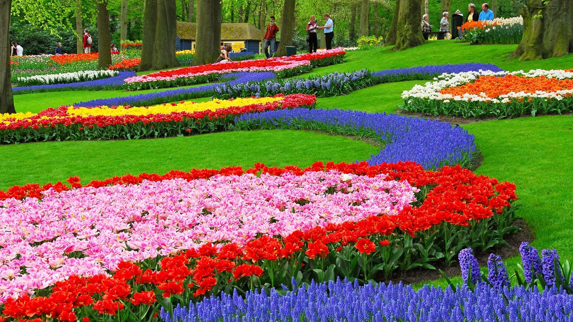 Flowers Garden Wallpapers