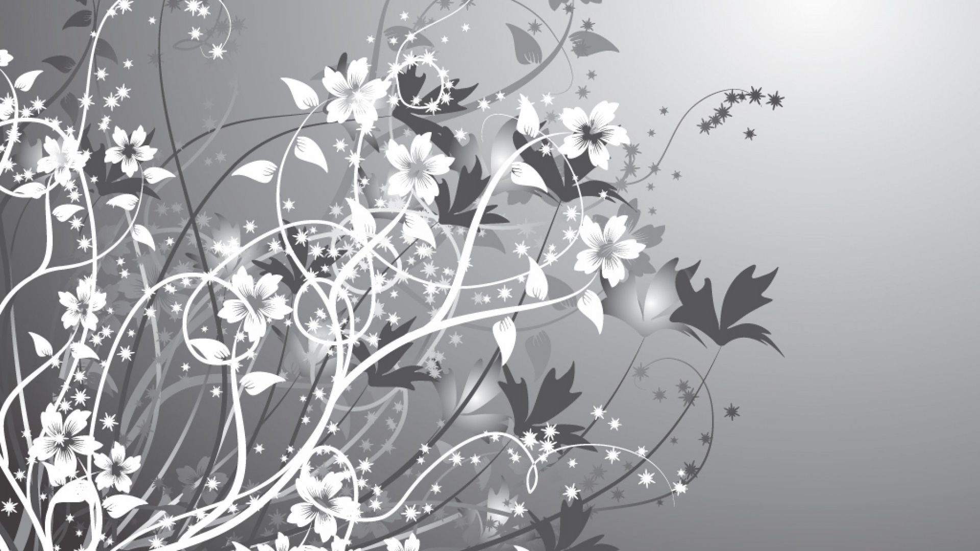 Flowers Gray Wallpapers