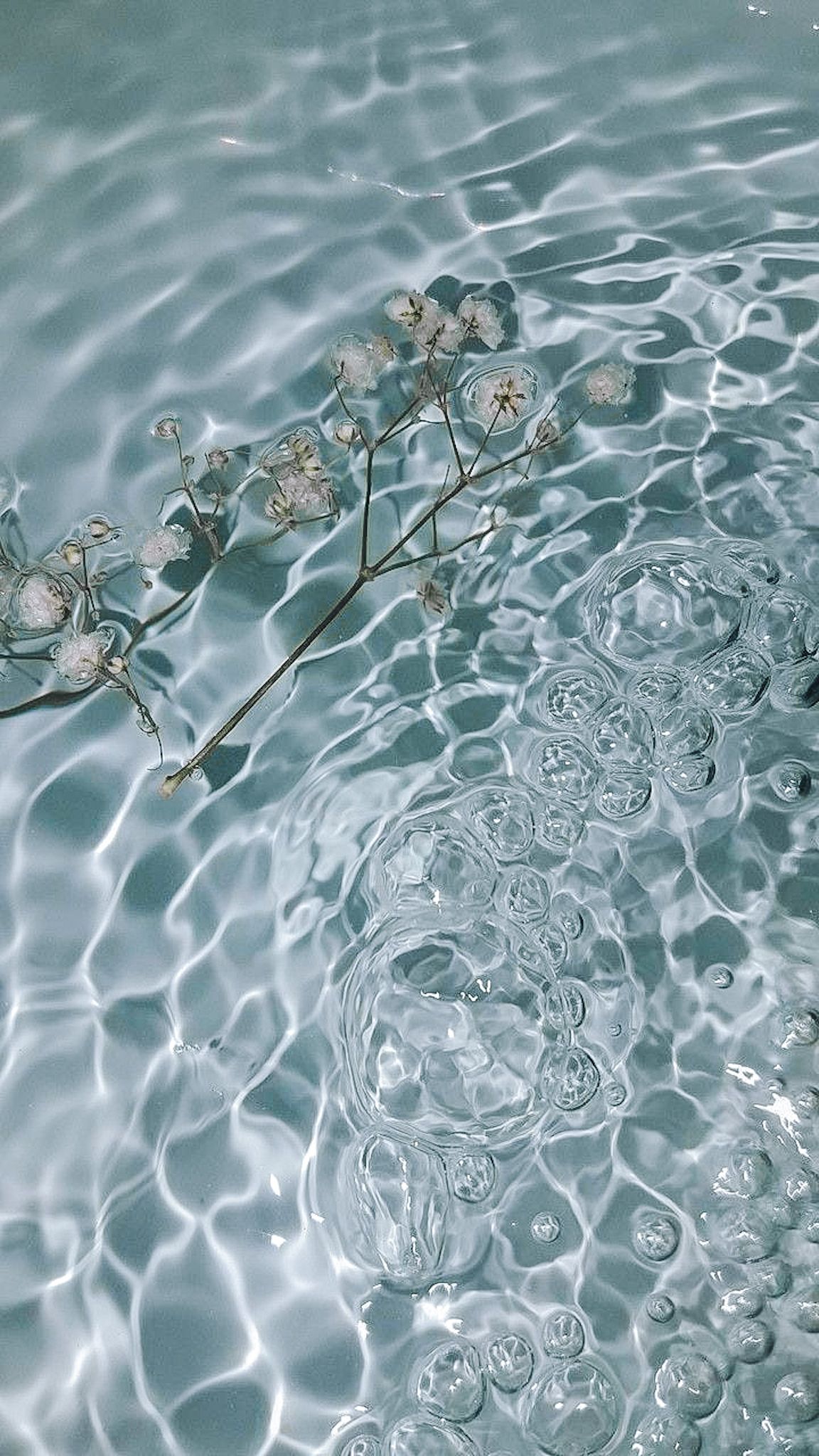 Flowers In Water Aesthetic Wallpapers