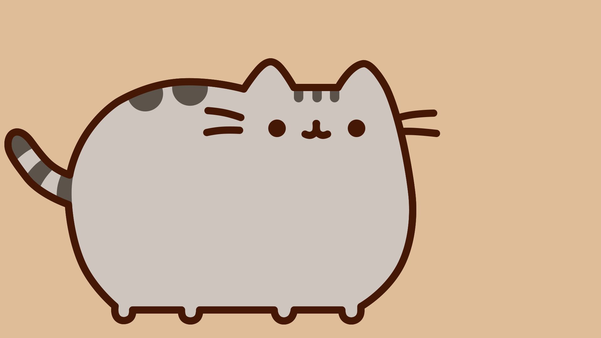 Fluffy Anime Cat Wallpapers