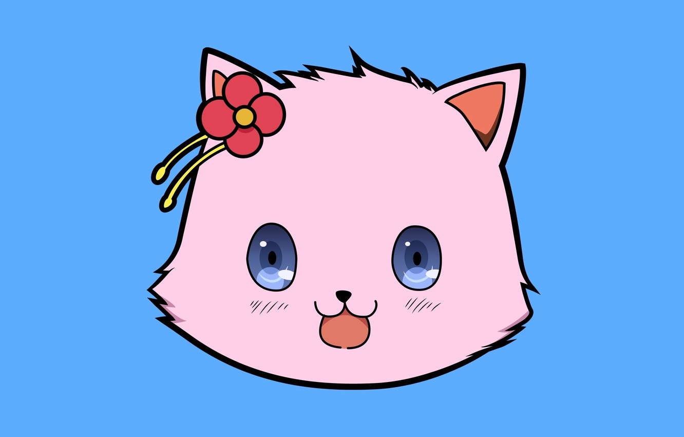 Fluffy Anime Cat Wallpapers