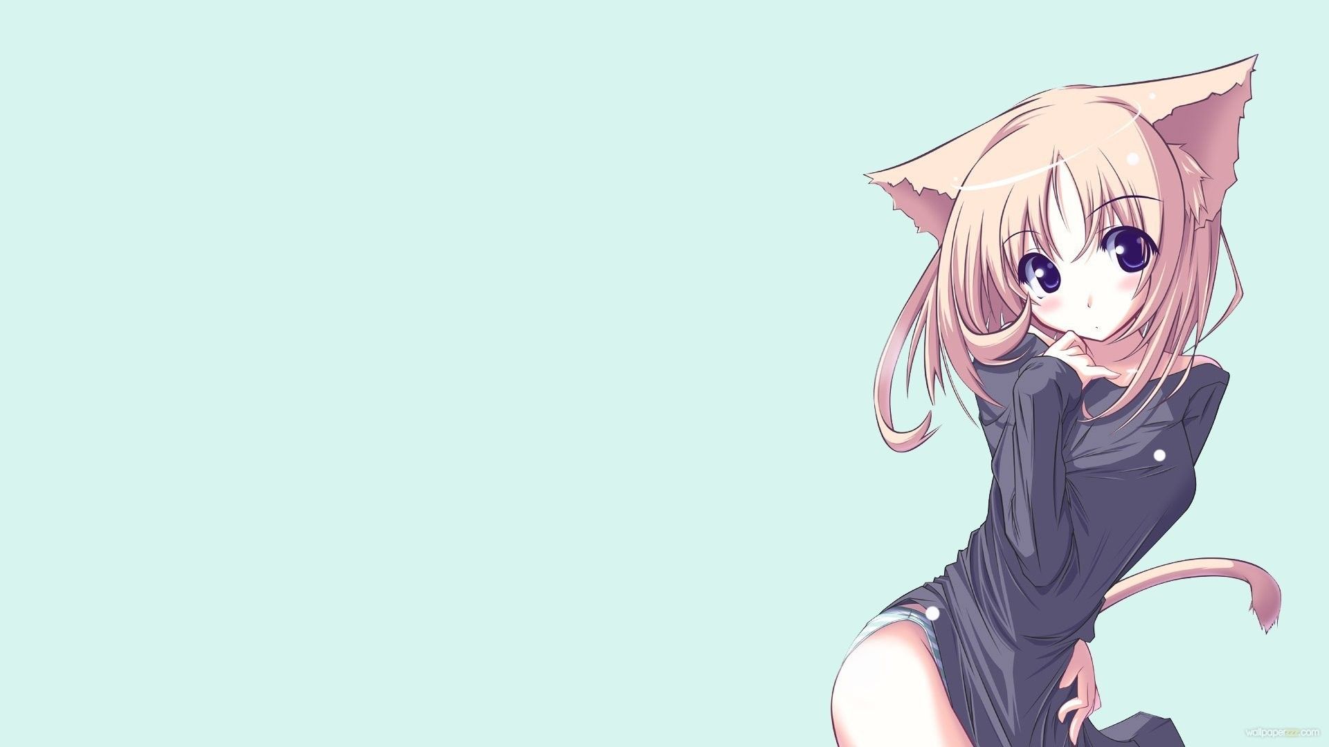 Fluffy Anime Cat Wallpapers