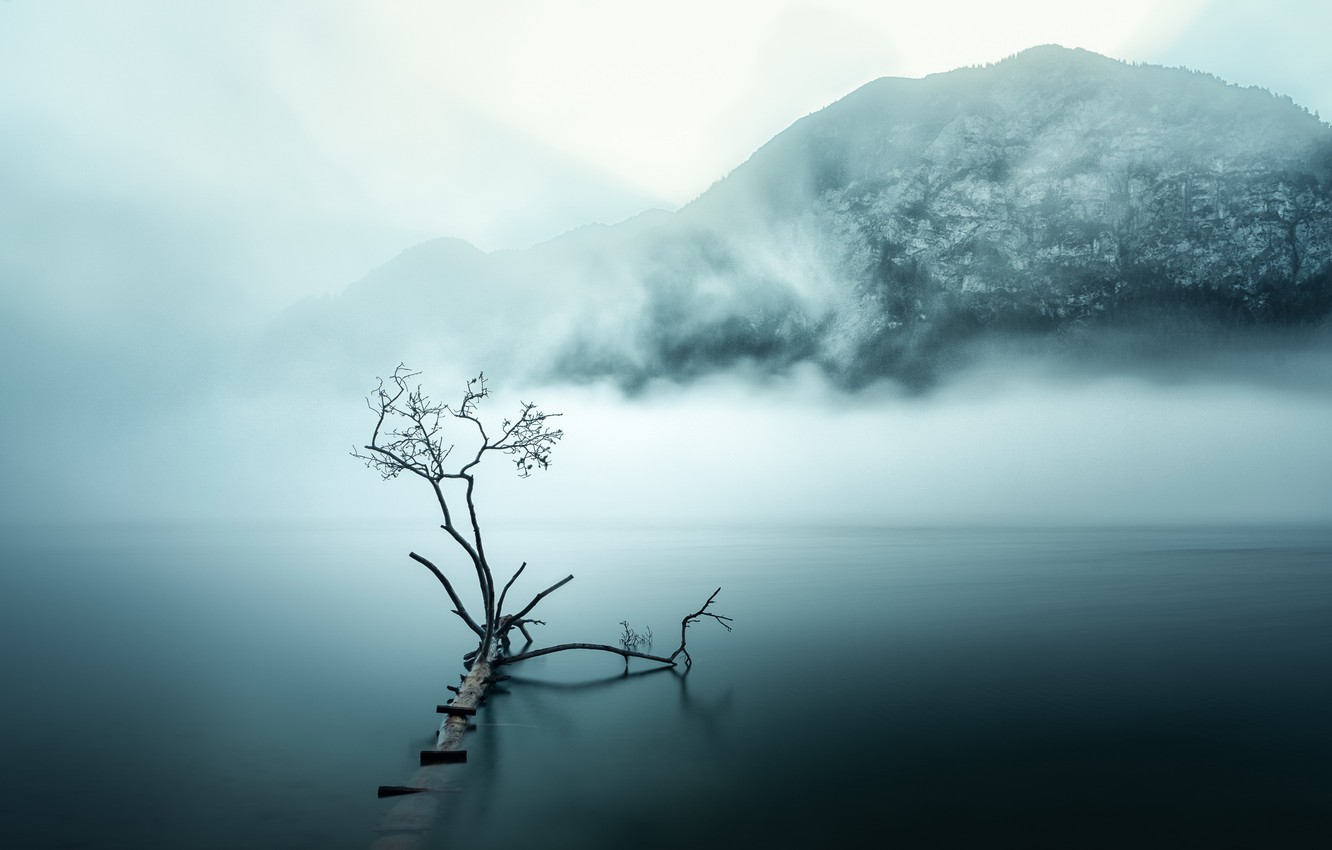 Foggy Lake Wallpapers