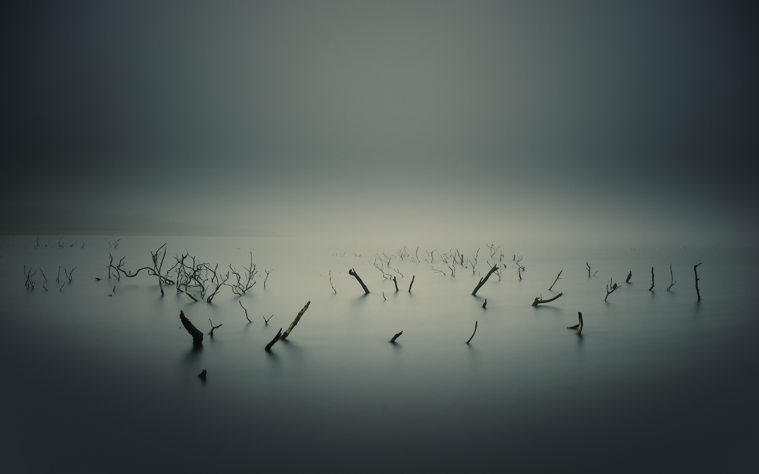 Foggy Lake Wallpapers