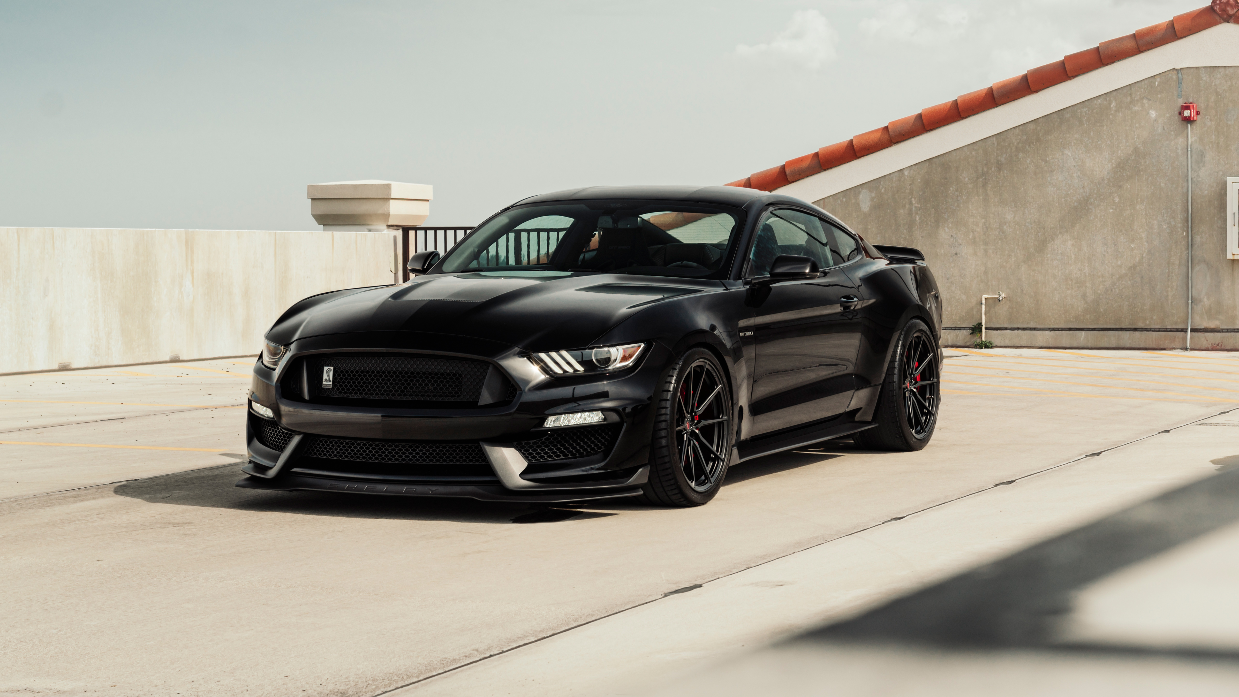 Ford Mustang Black Wallpapers