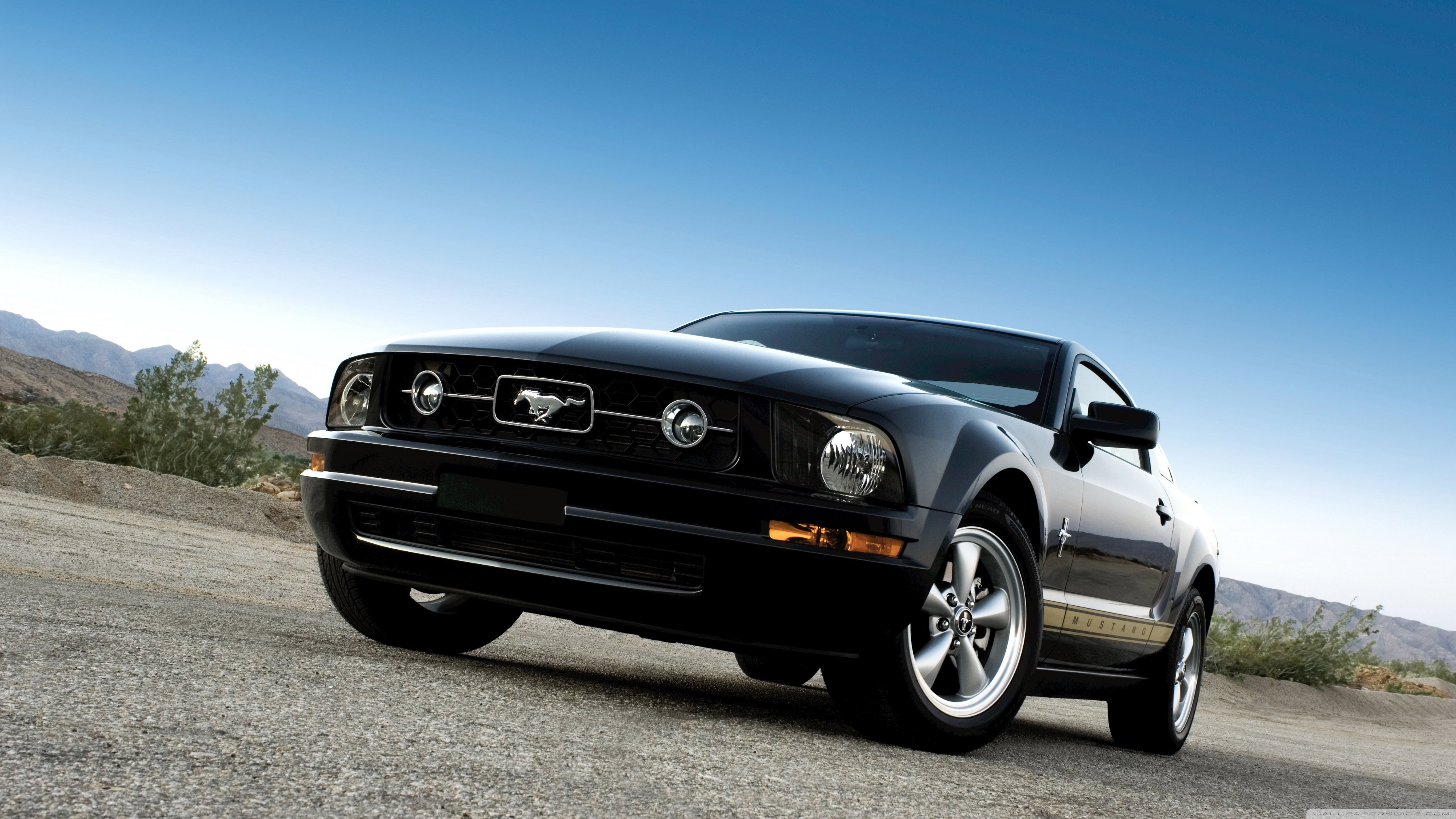 Ford Mustang Black Wallpapers