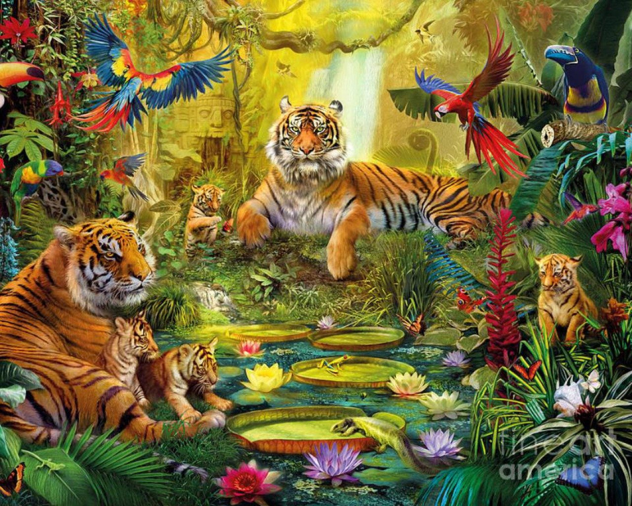 Forest Animals Wallpapers