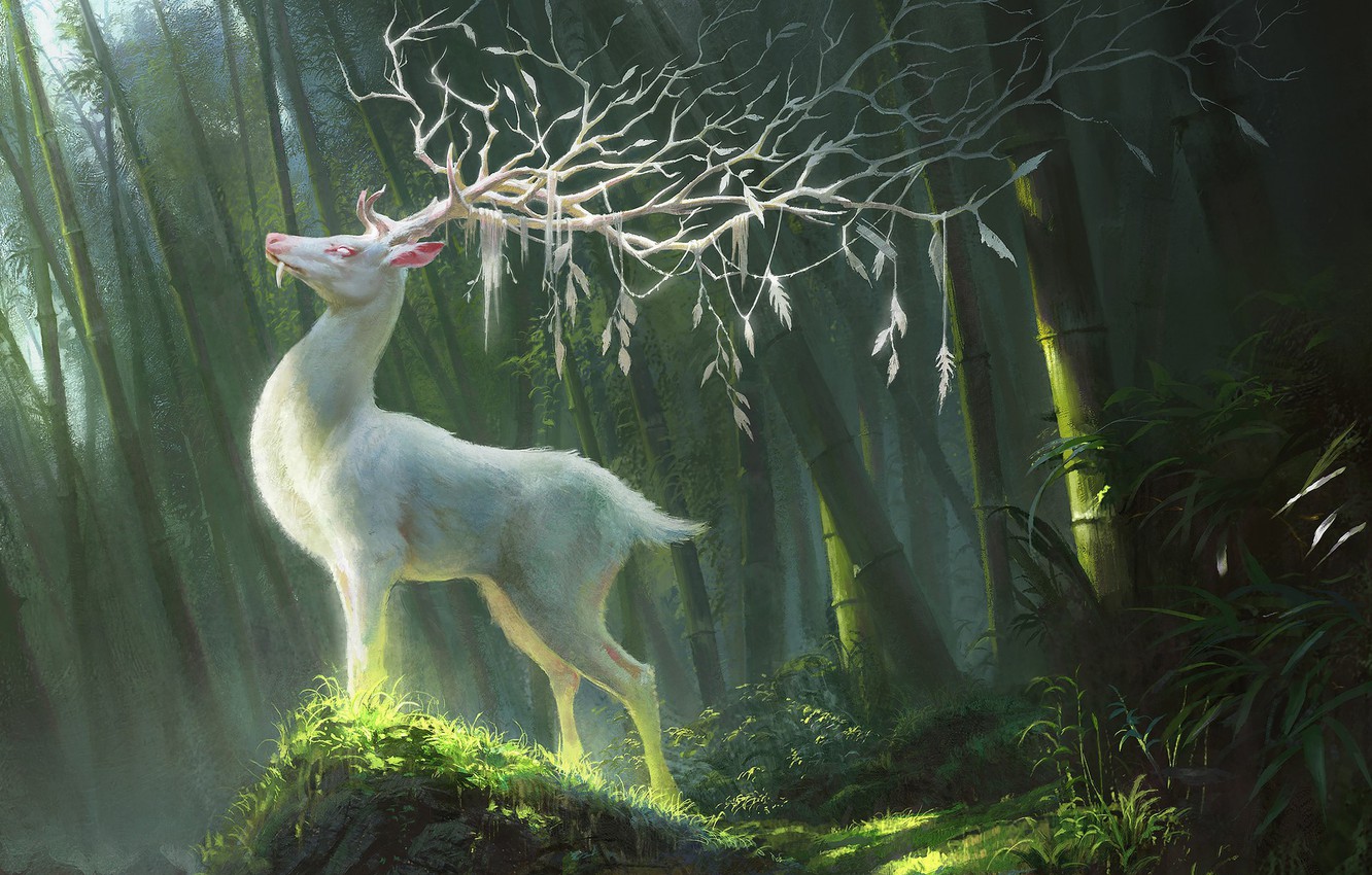 Forest Deer Wallpapers