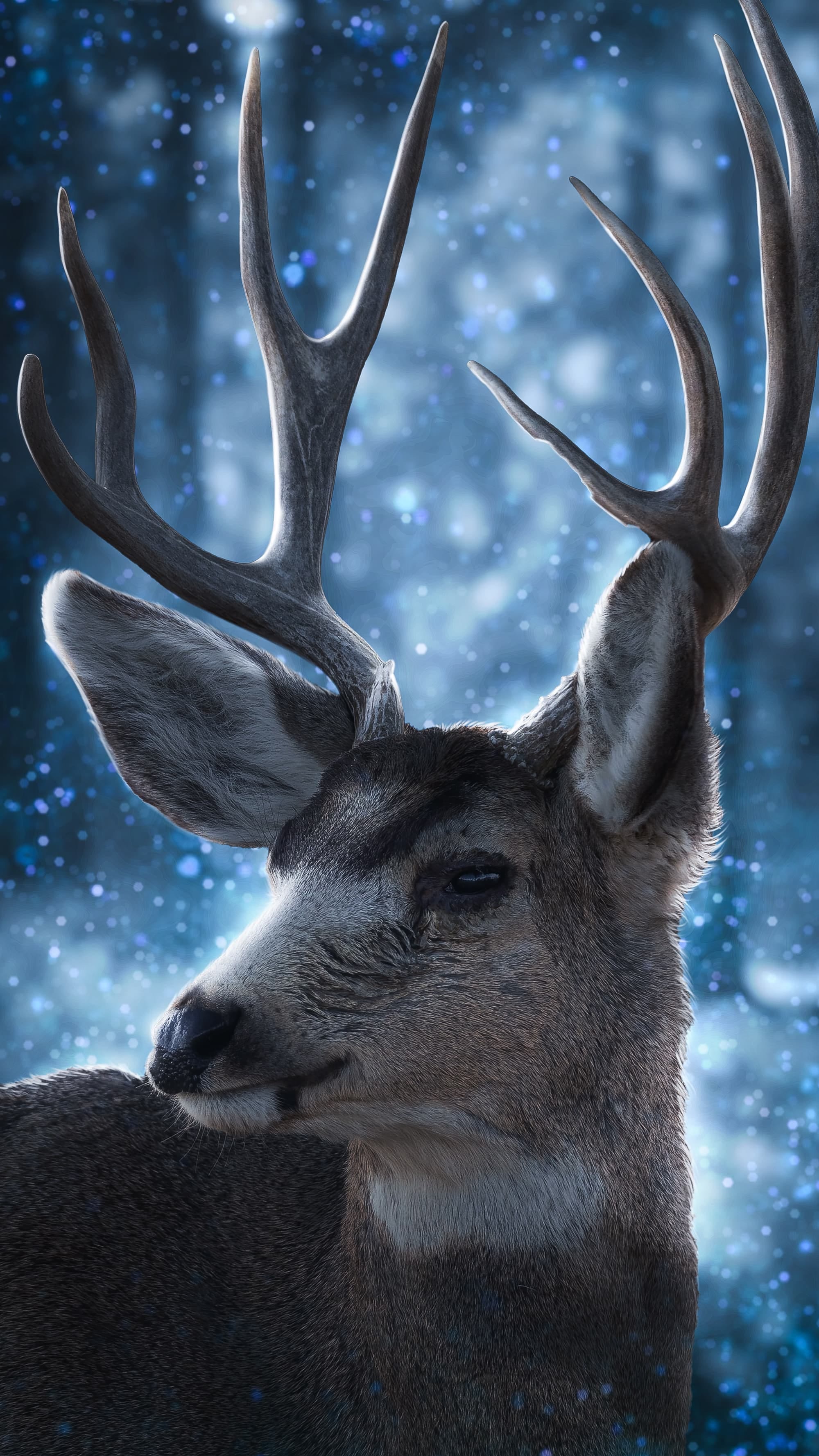 Forest Deer Wallpapers