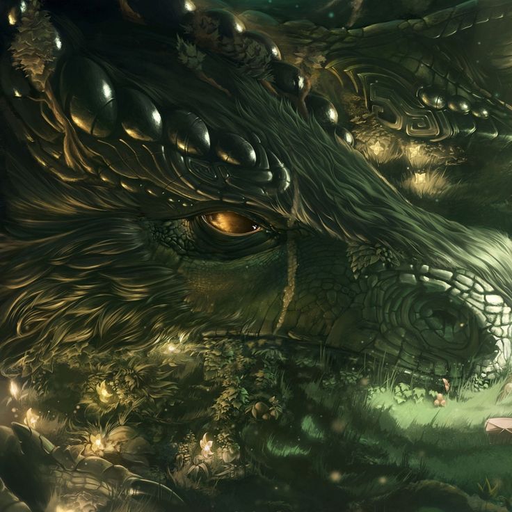 Forest Dragon Wallpapers