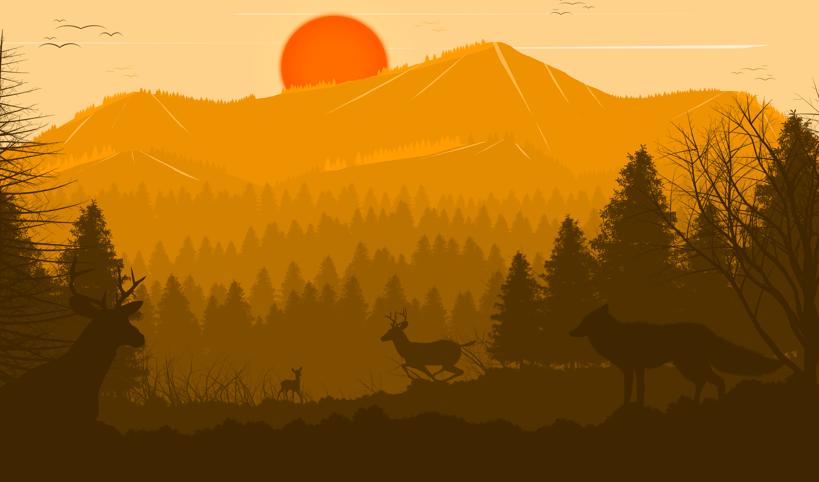 Forest Drawing Wallpapers