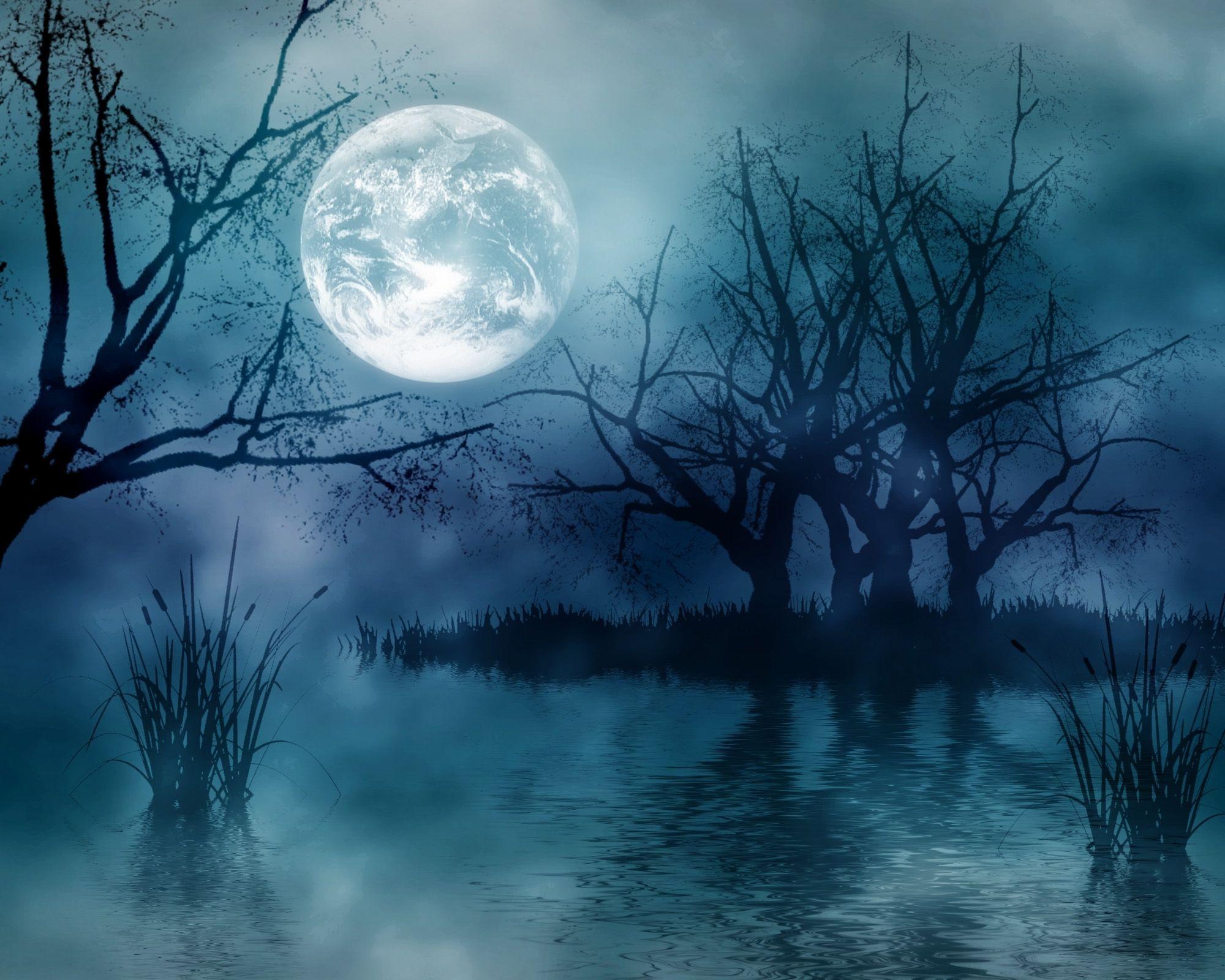 Forest Full Moon Wallpapers