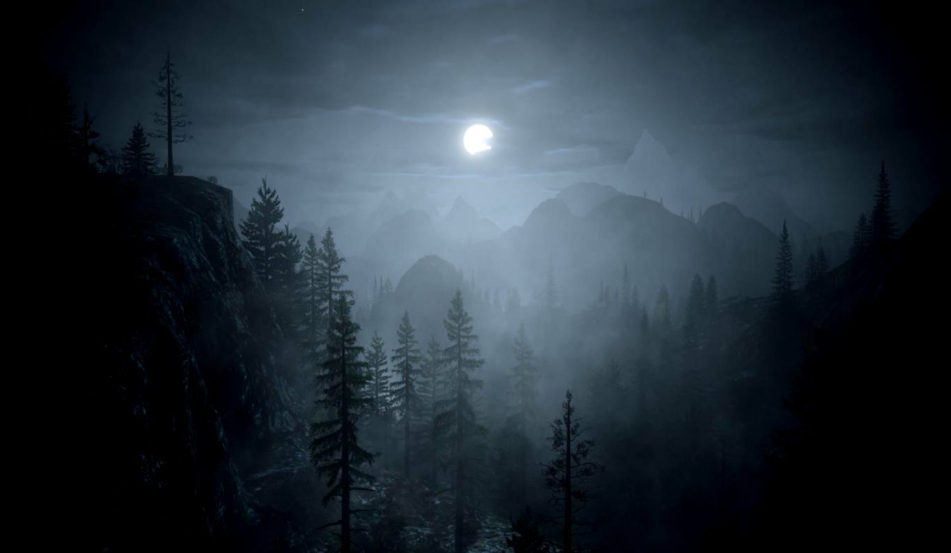 Forest Full Moon Wallpapers