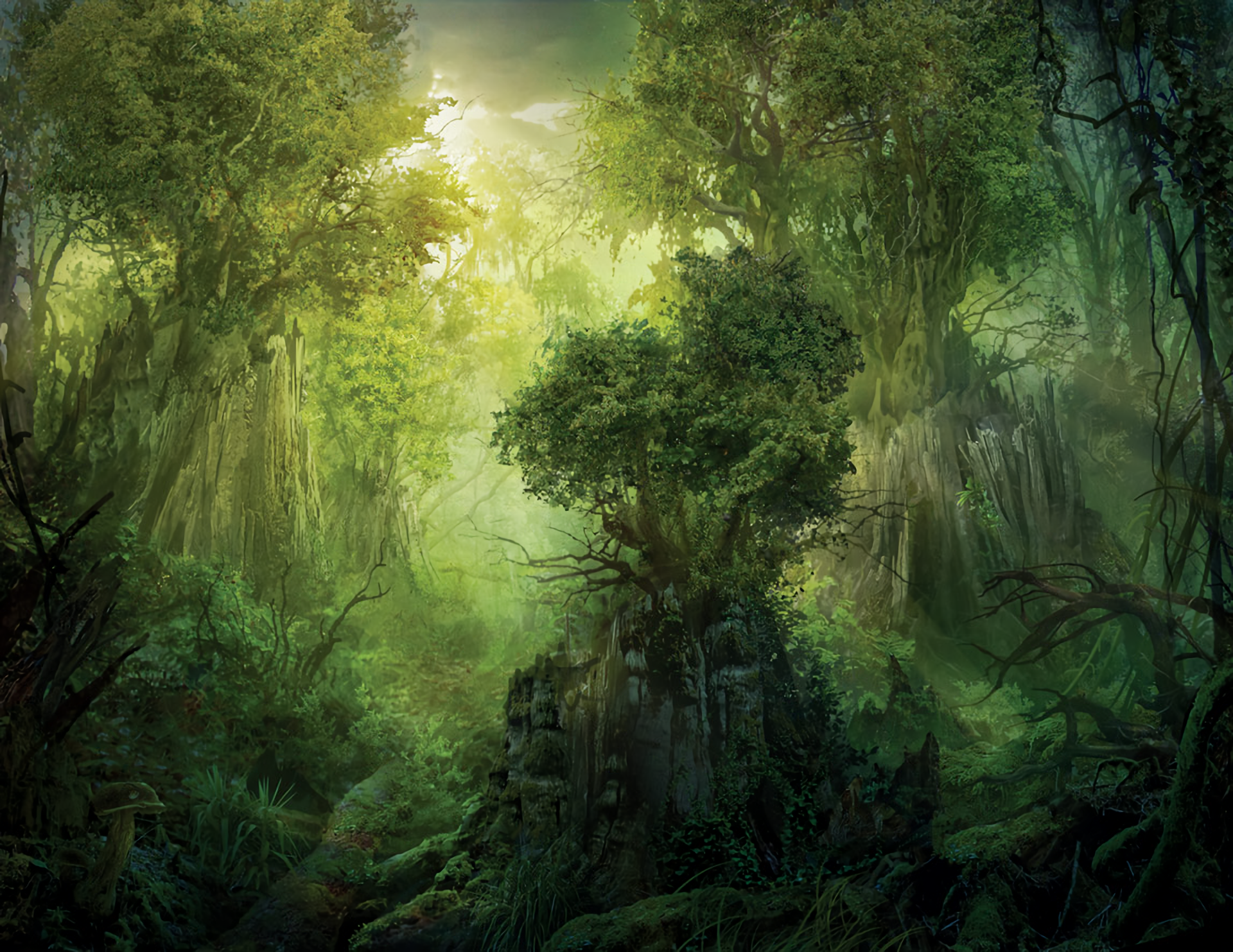 Forest Magic Wallpapers