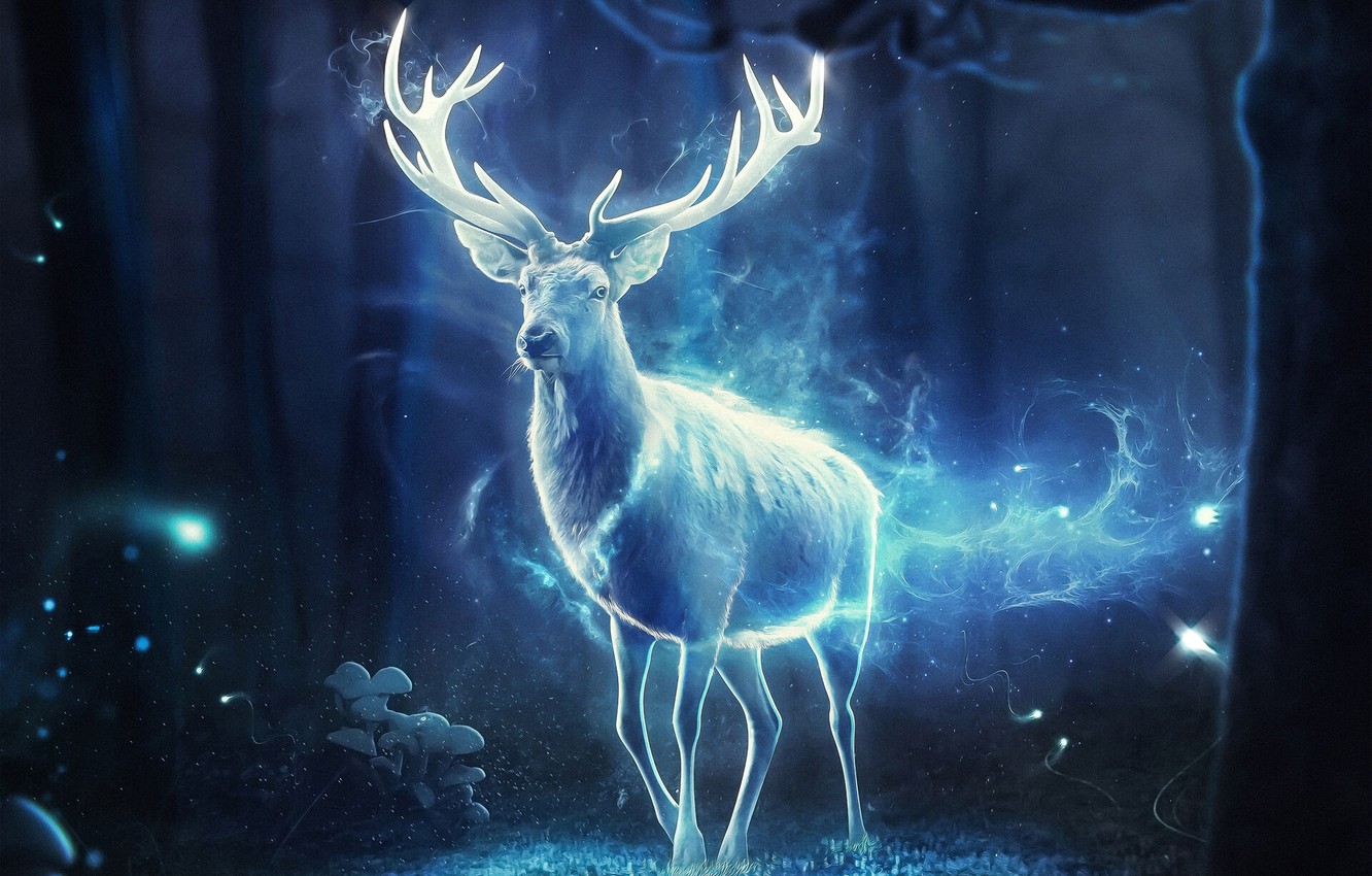 Forest Magic Wallpapers