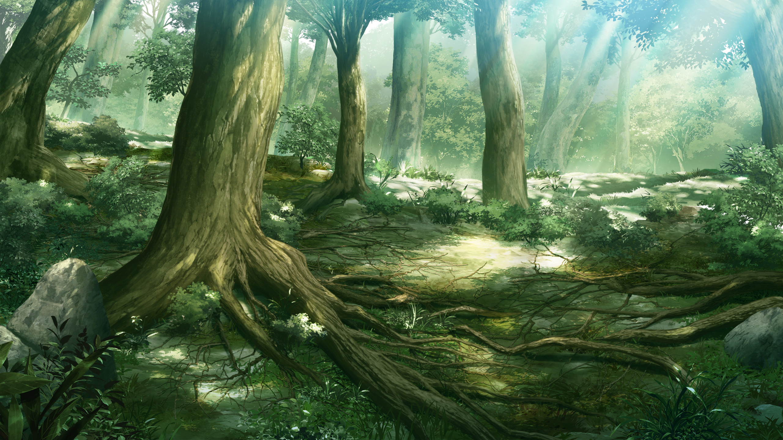 Forest Scenery Wallpapers