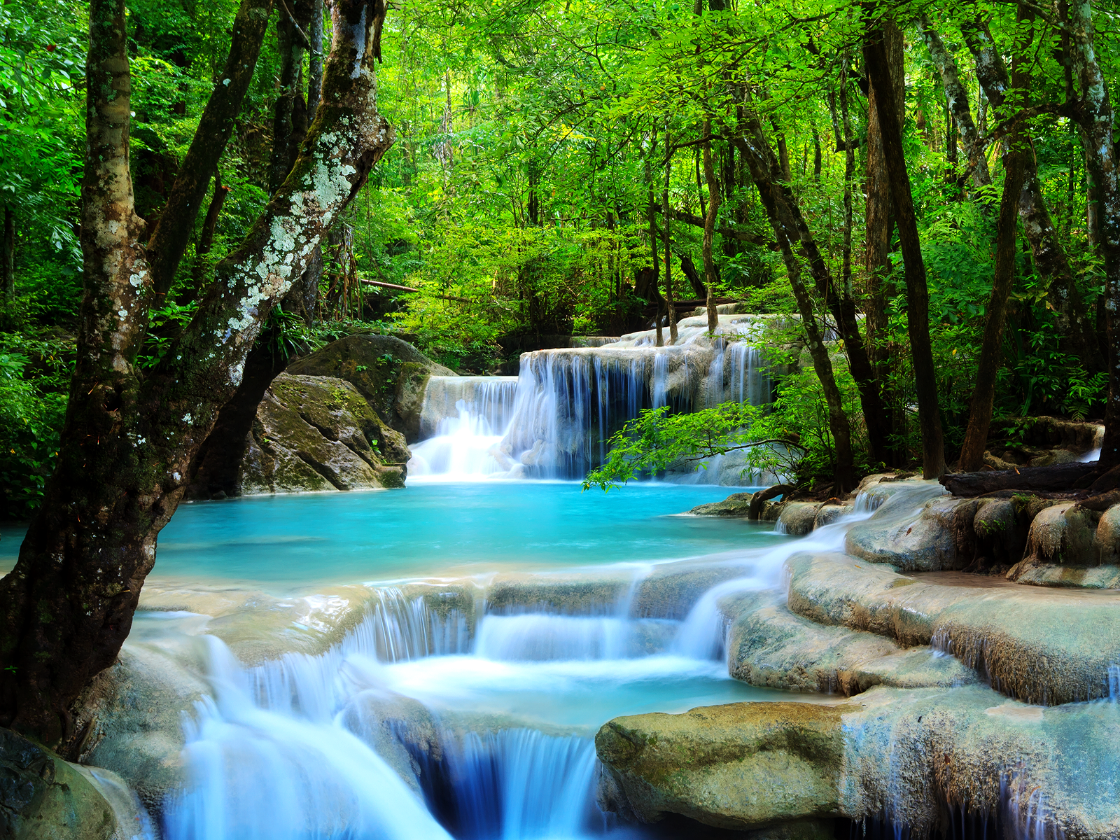 Forest Waterfalls Wallpapers