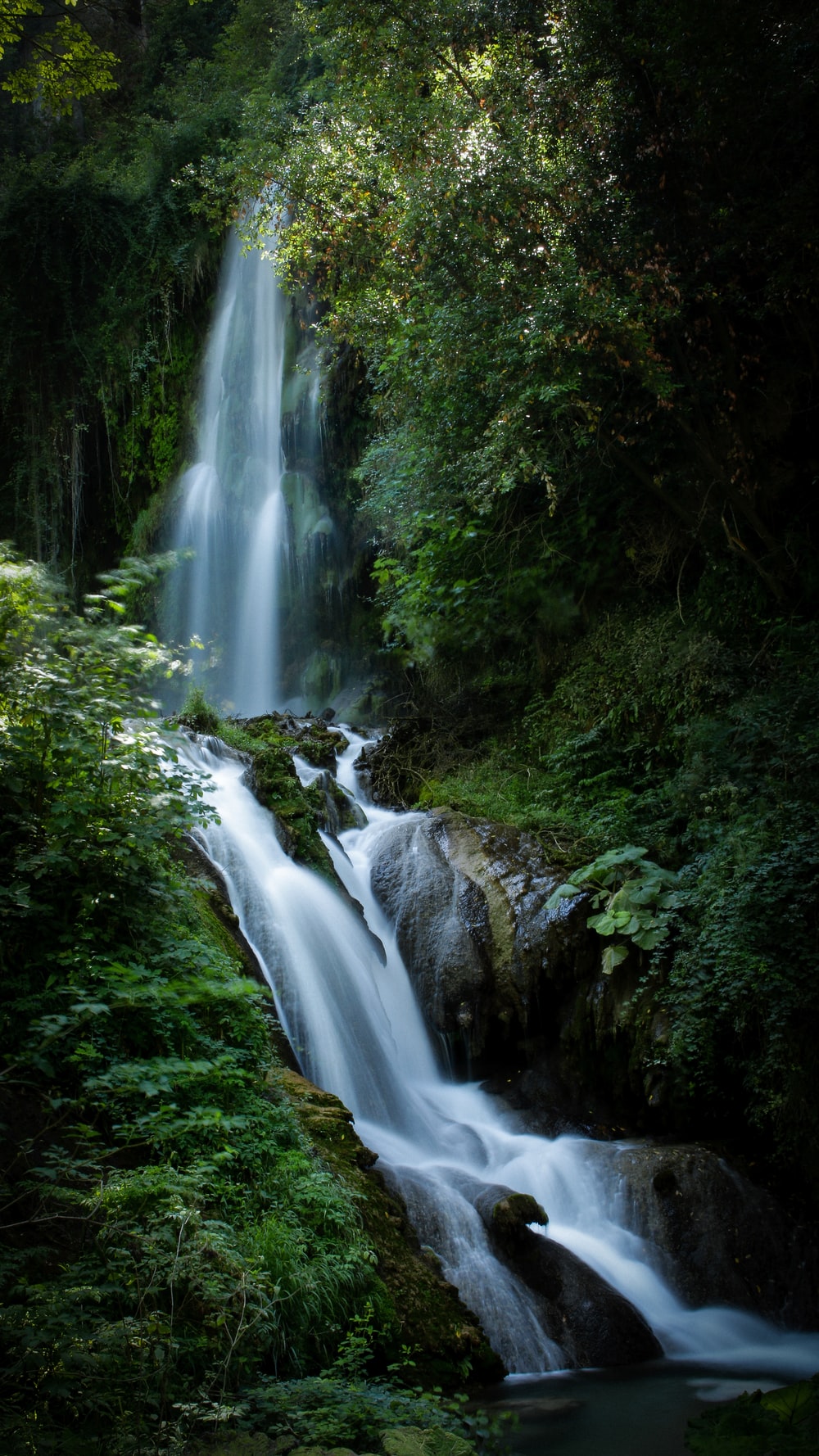 Forest Waterfalls Wallpapers