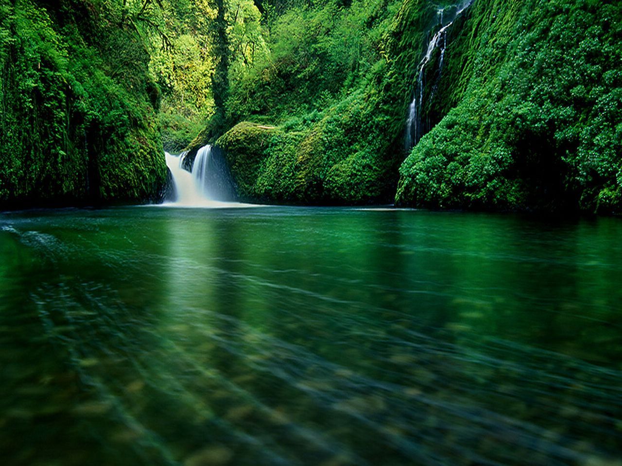 Forest Waterfalls Wallpapers