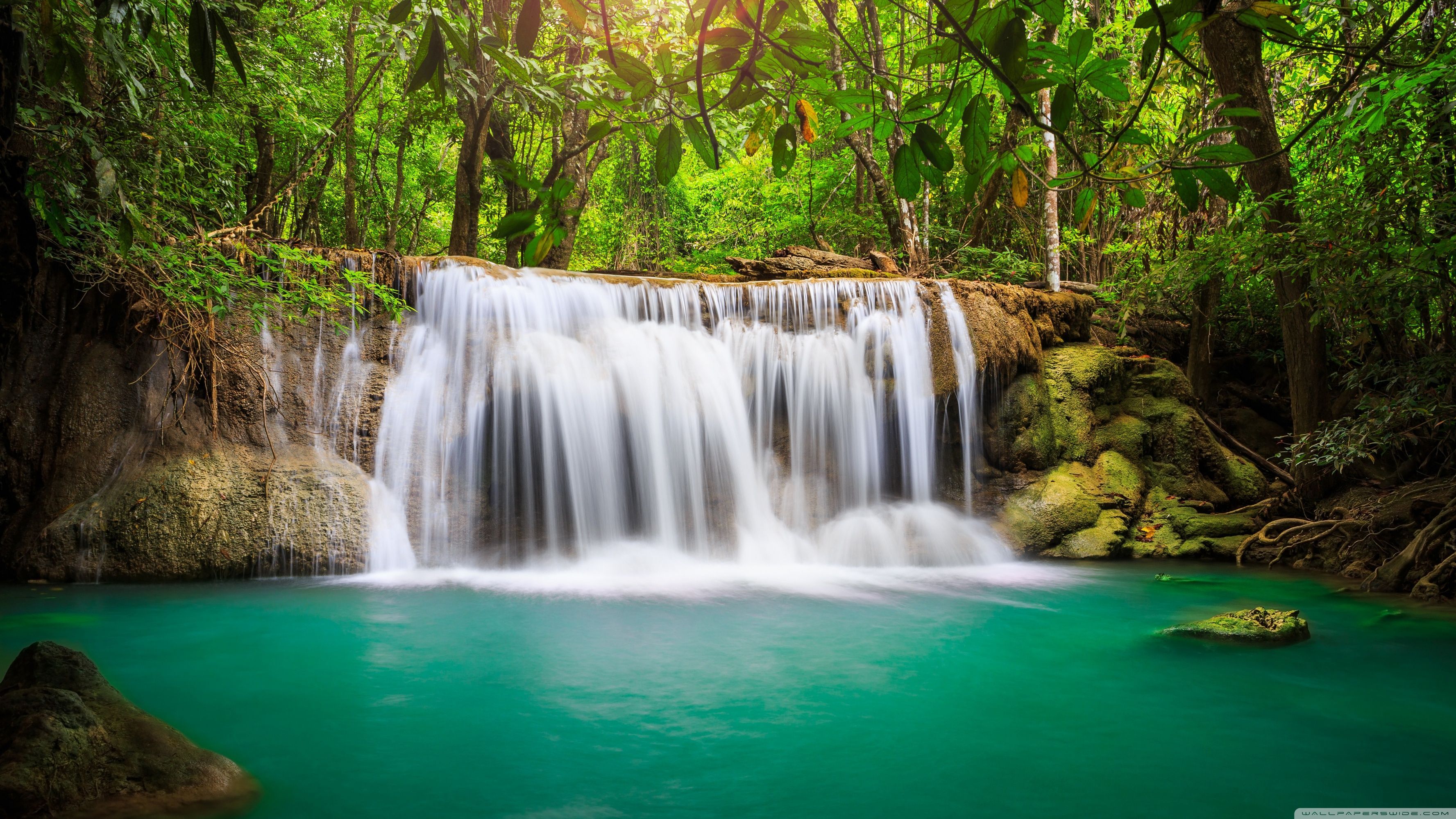 Forest Waterfalls Wallpapers