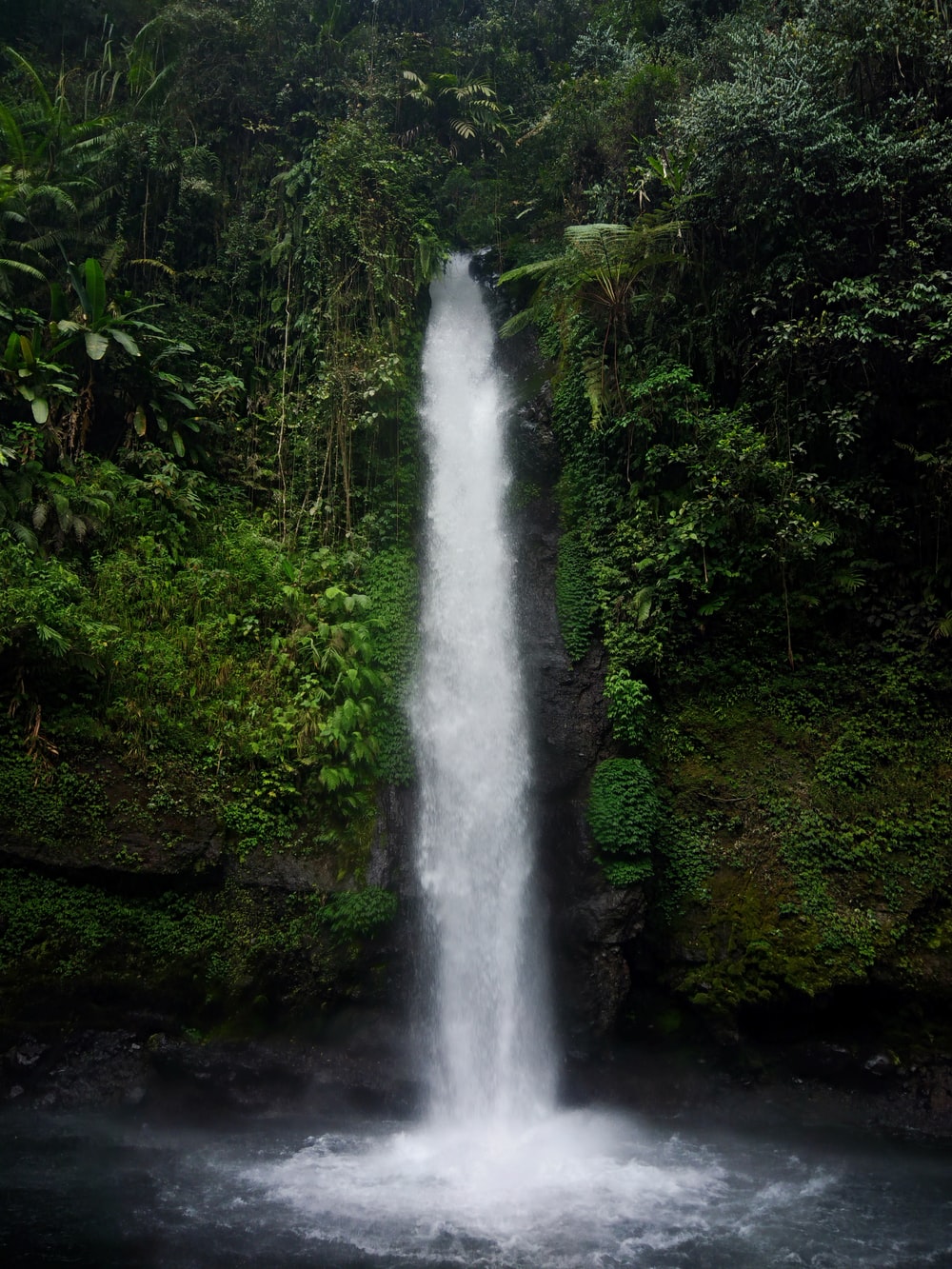 Forest Waterfalls Wallpapers