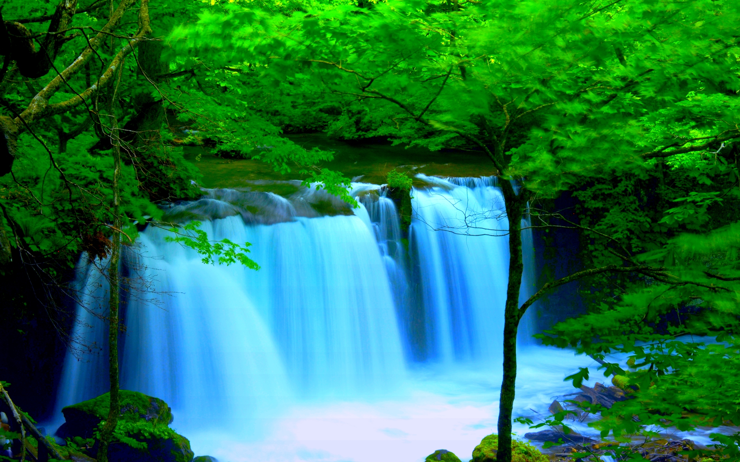 Forest Waterfalls Wallpapers