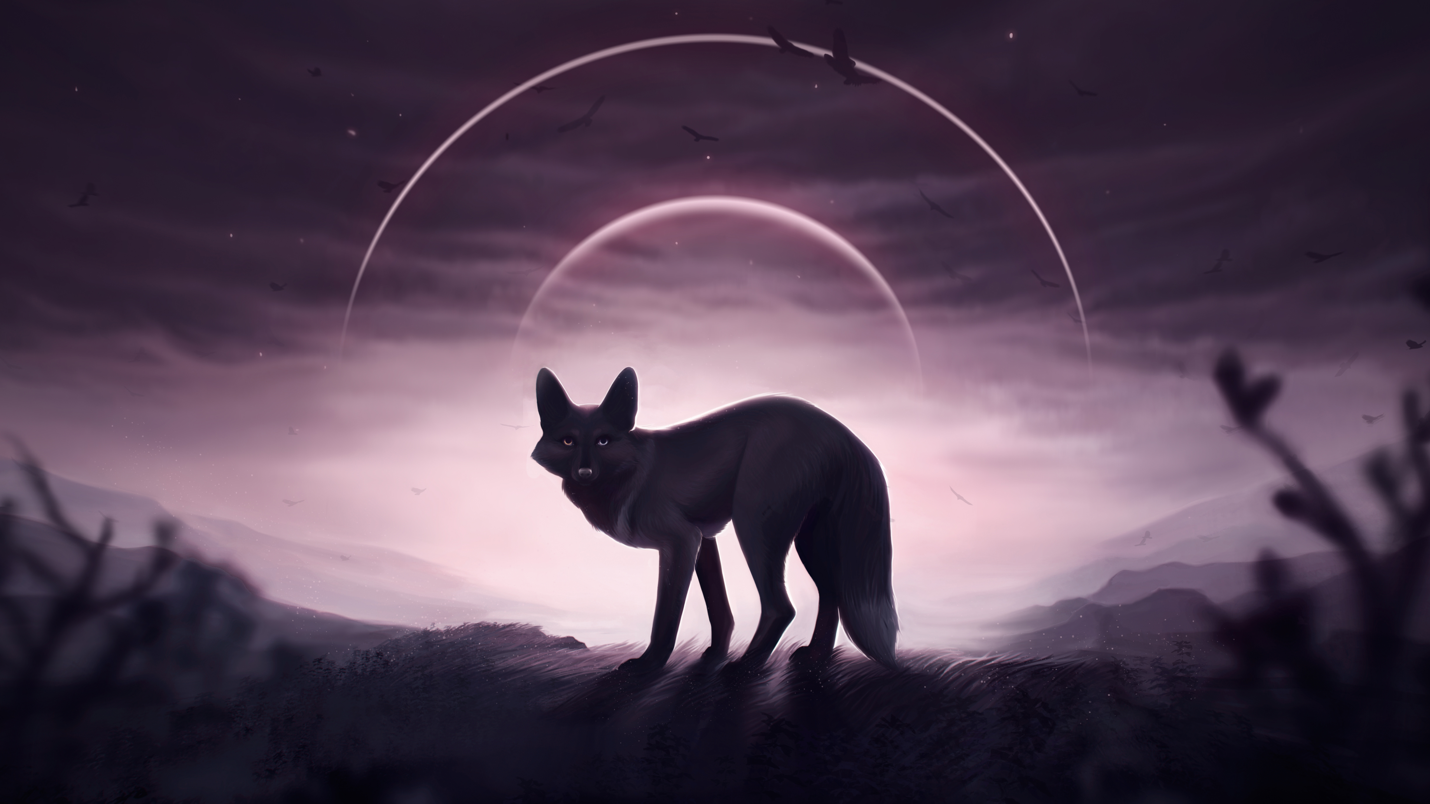 Fox And Wolf Wallpapers