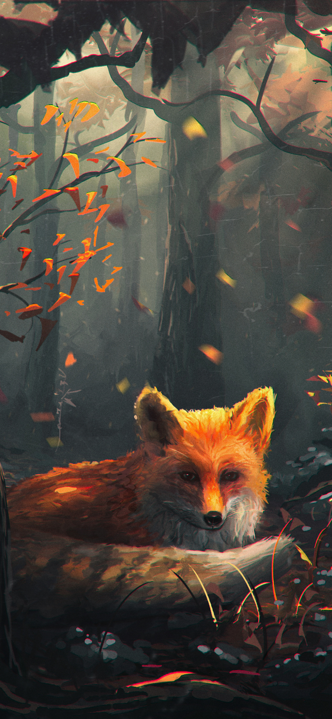 Fox Phone Wallpapers