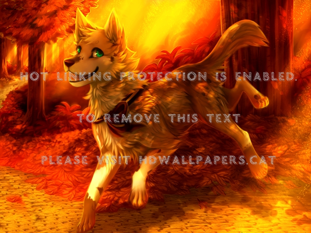 Fox Spirit Wallpapers