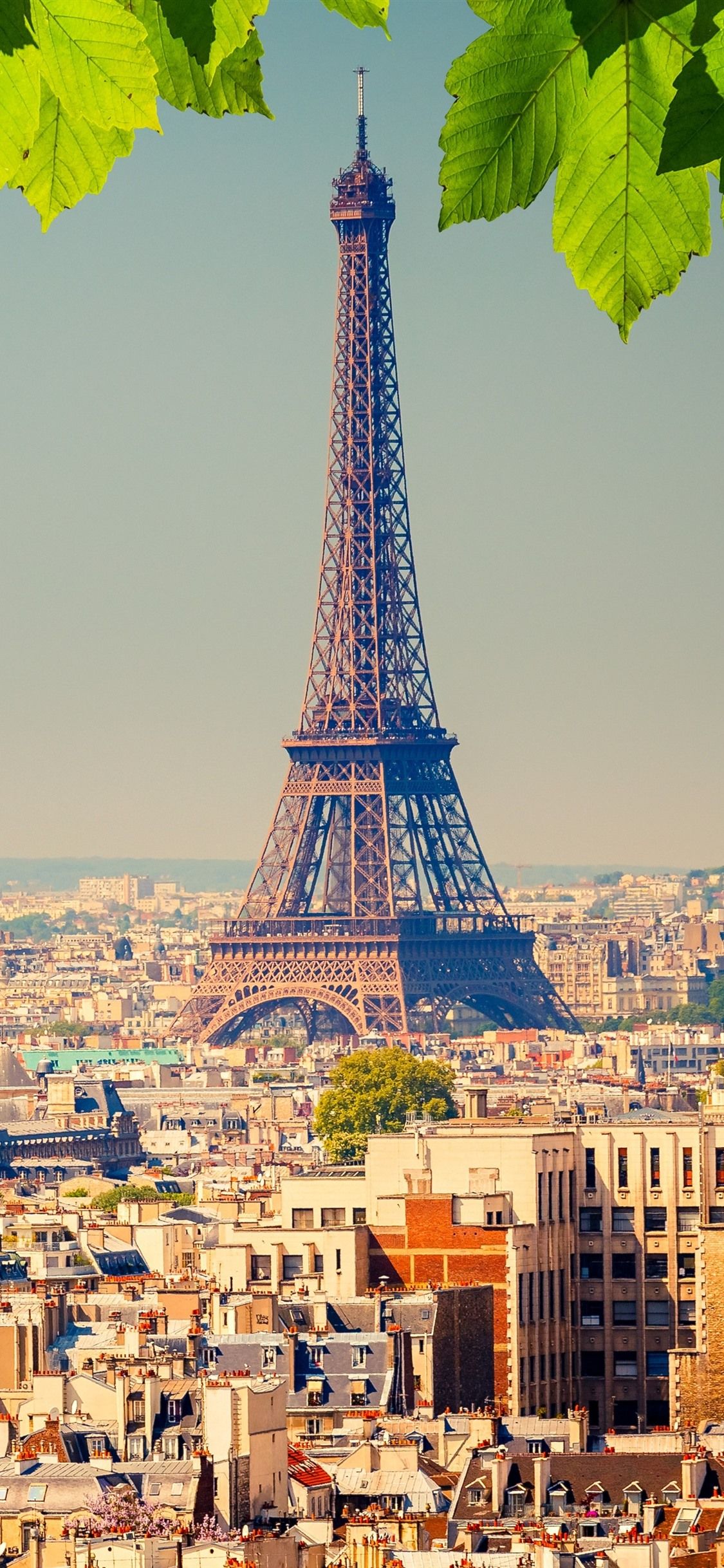 France Iphone Wallpapers