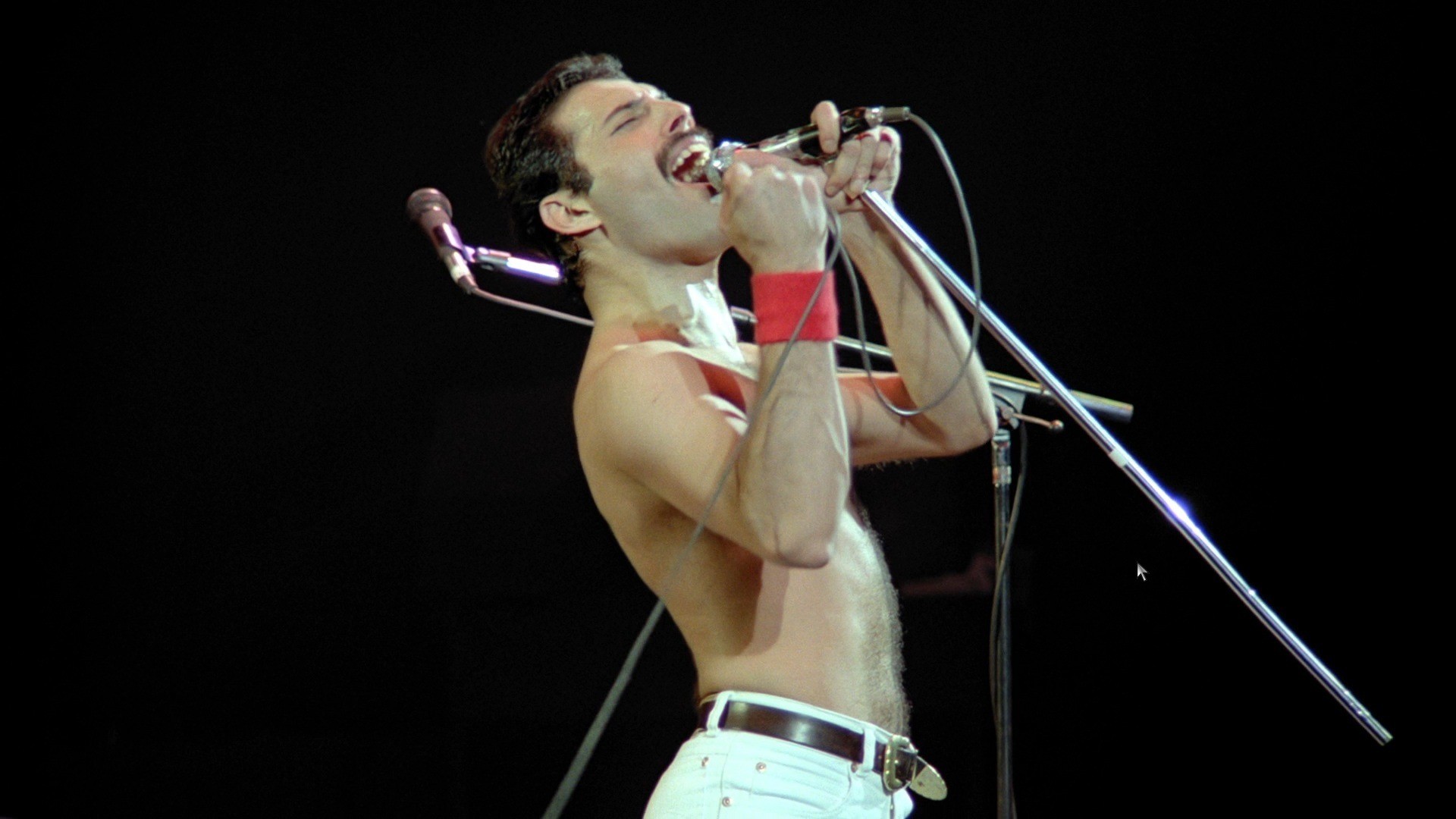 Freddie Mercury Iphone Wallpapers