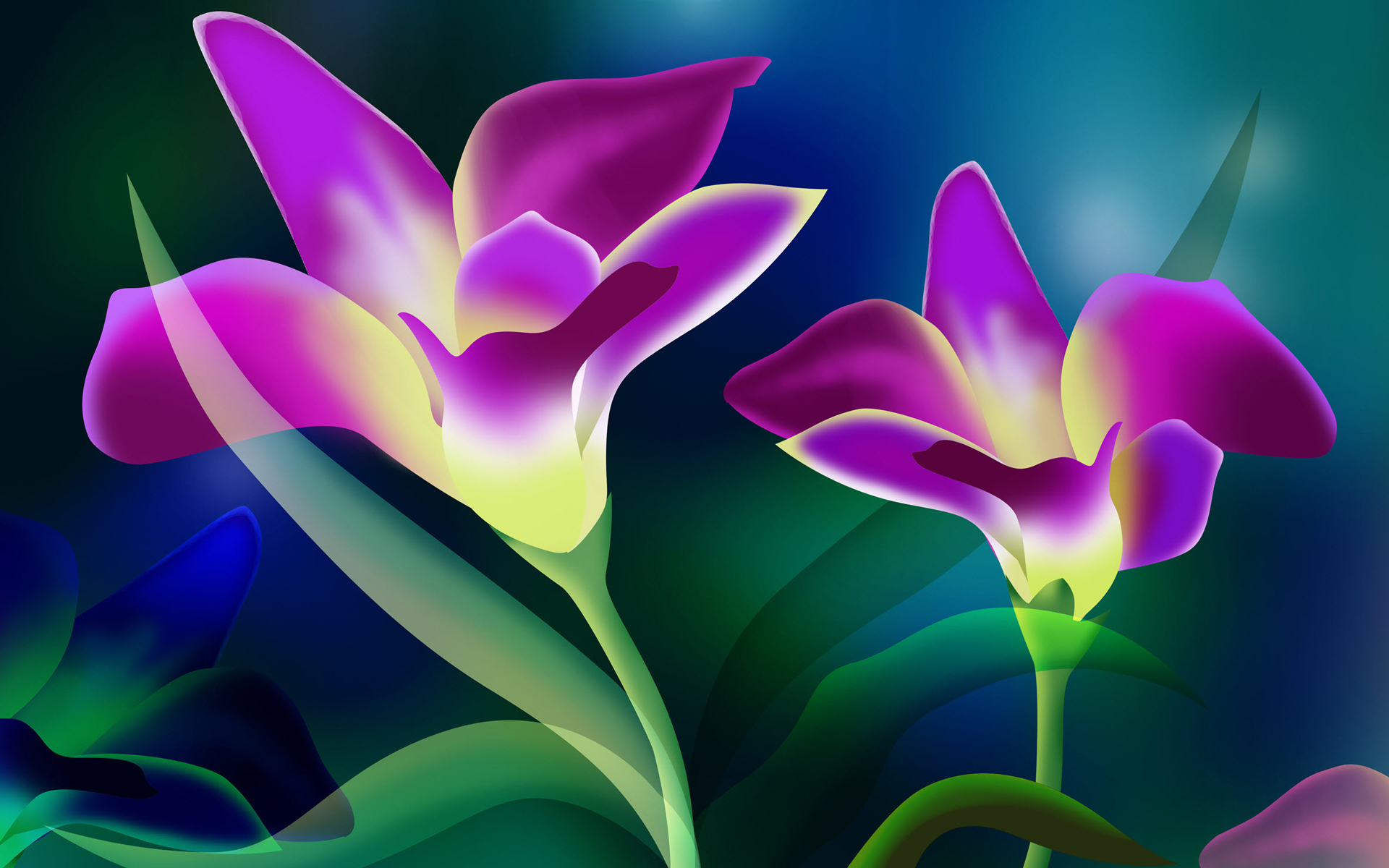 Free Flower Download Wallpapers