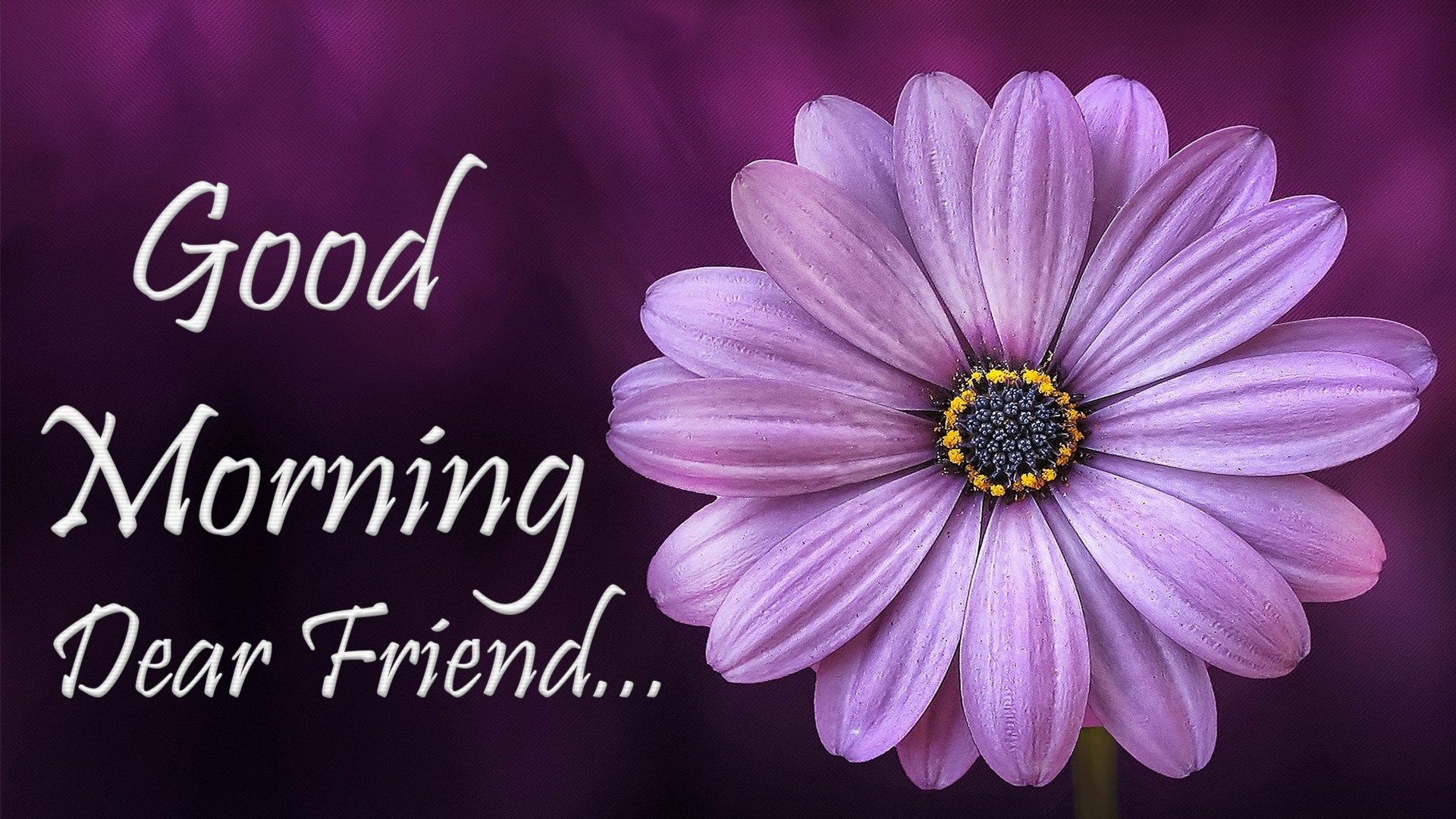 Friend Good Morning Images Wallpapers