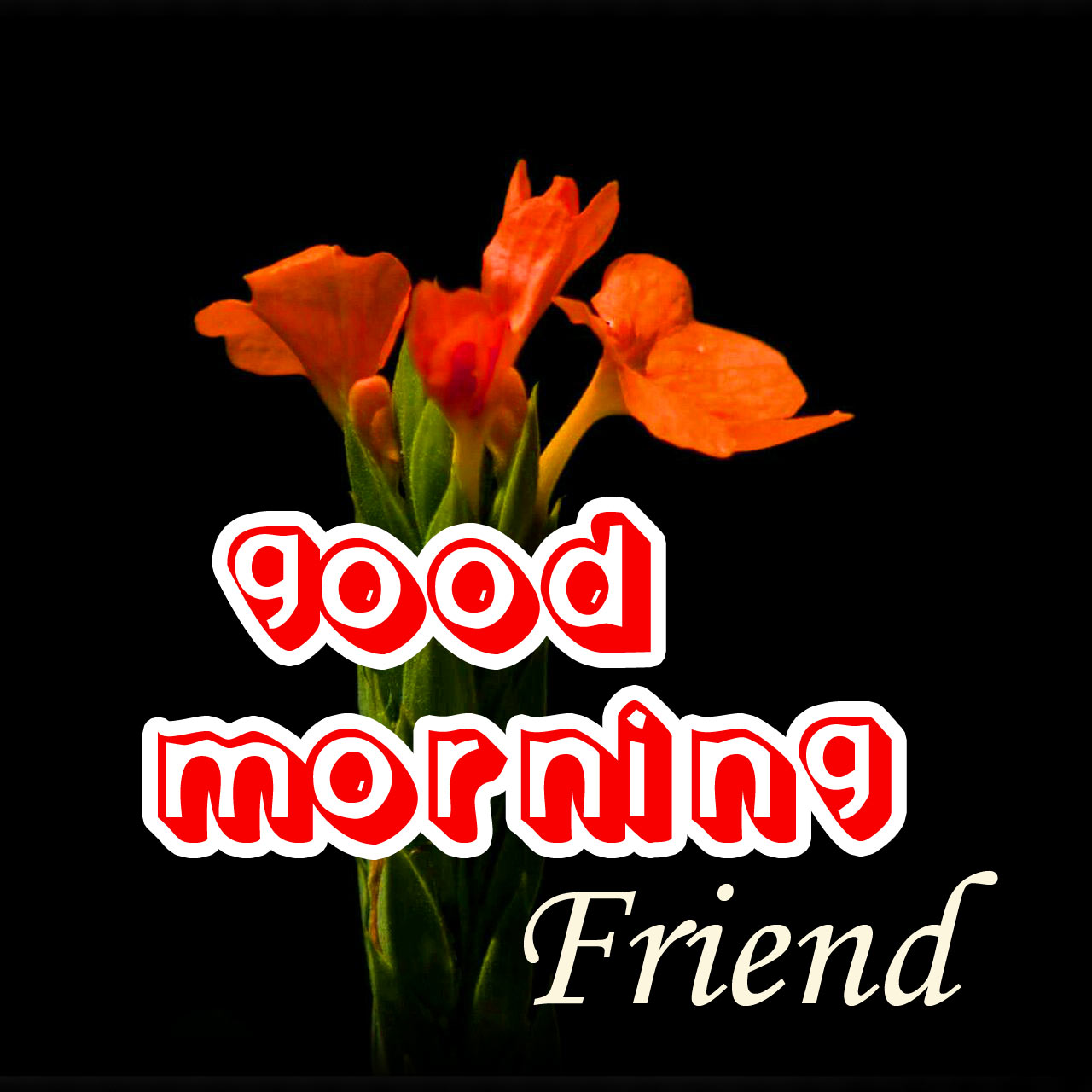 Friend Good Morning Images Wallpapers