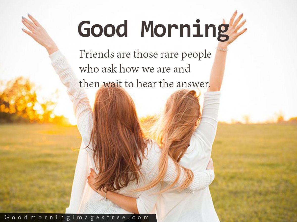 Friend Good Morning Images Wallpapers