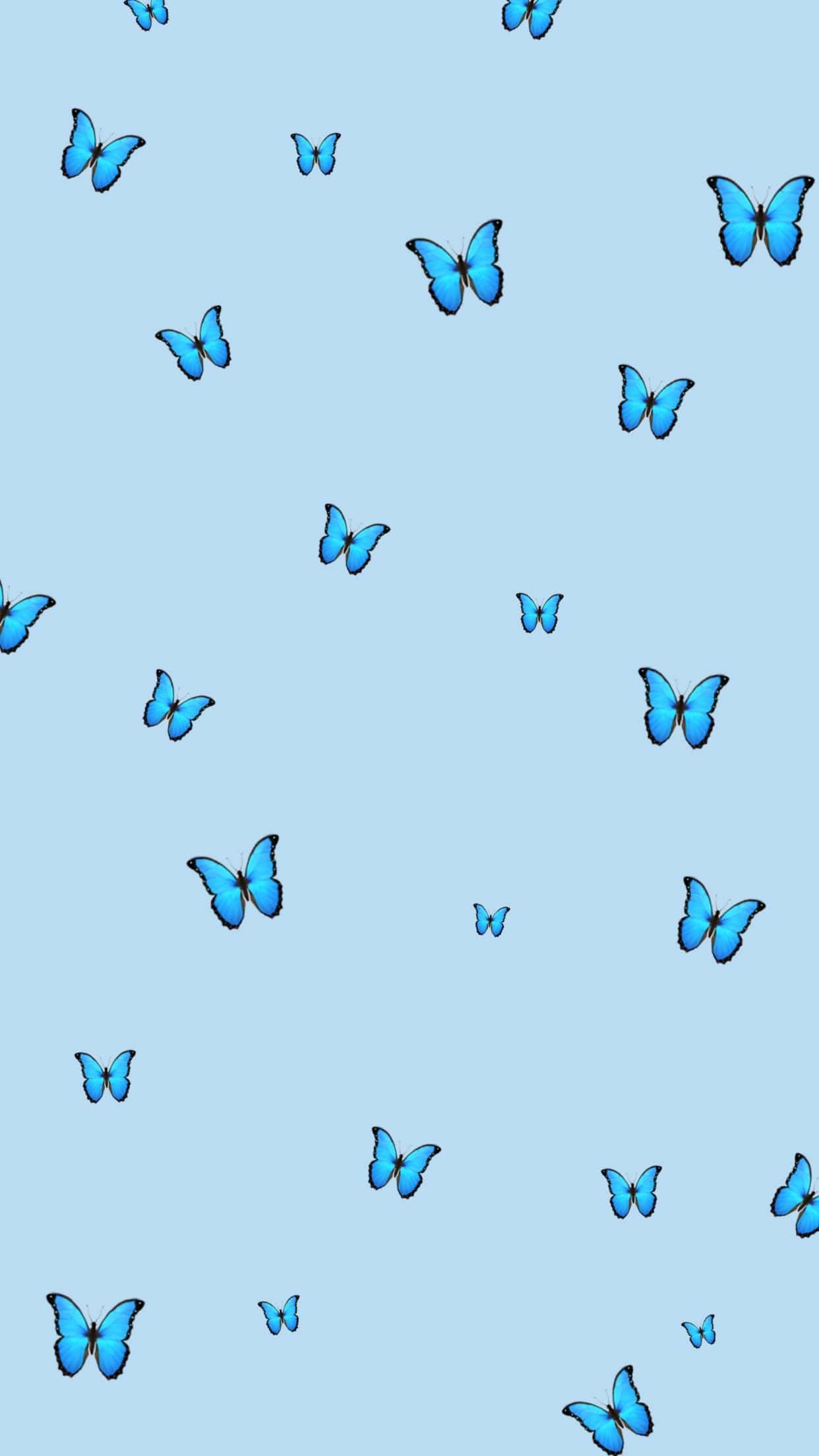 Fringe Butterfly Wallpapers