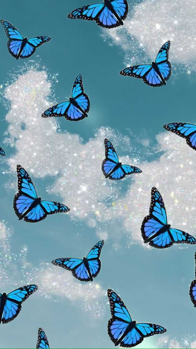 Fringe Butterfly Wallpapers