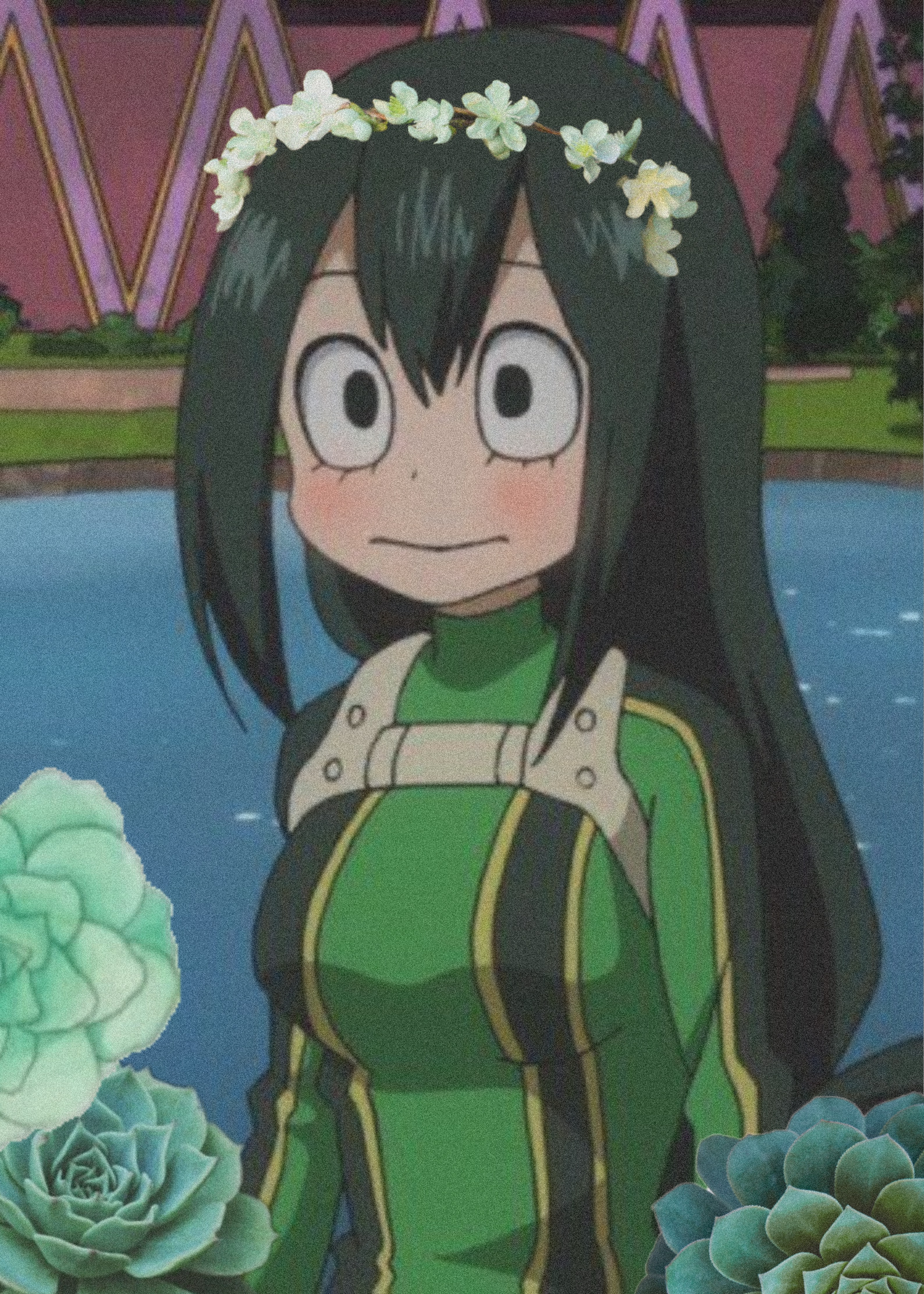 Froppy Aesthetic Wallpapers