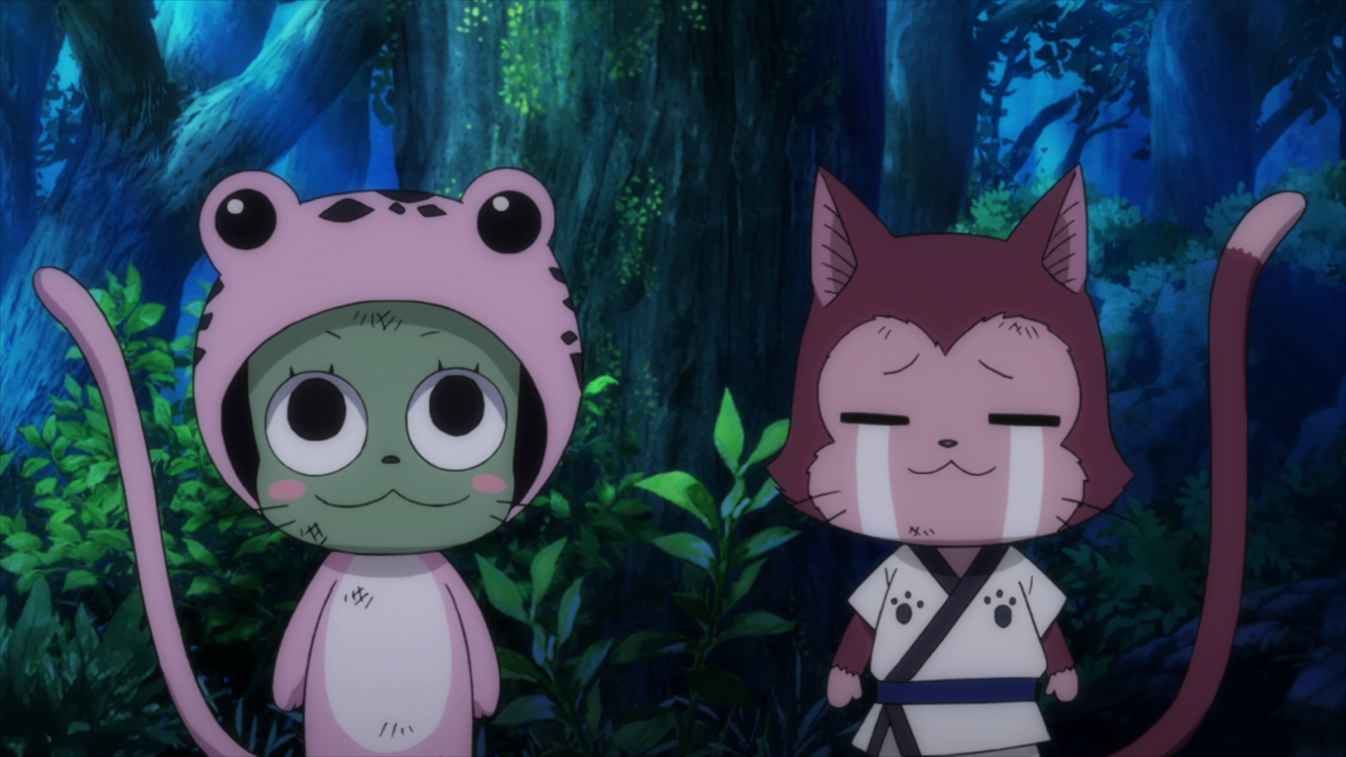 Frosch Fairy Tail Wallpapers