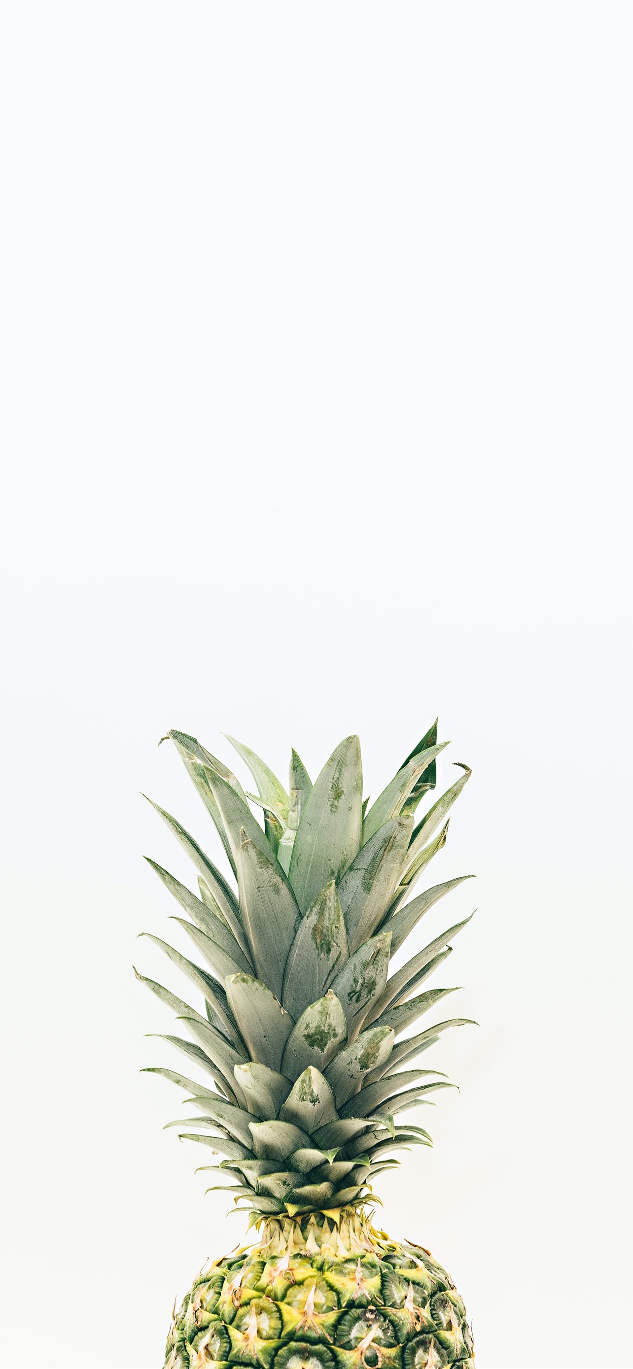 Fruit Phone Wallpapers