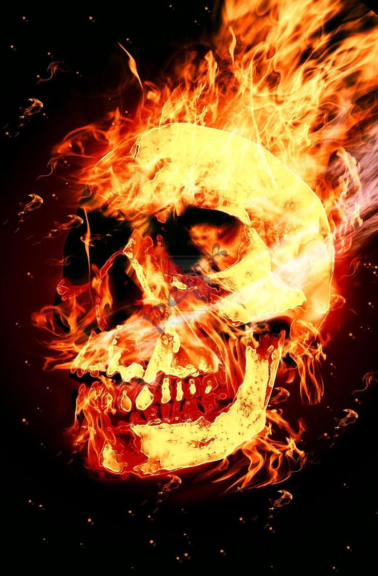 Full Hd Fire Skull Wallpapers