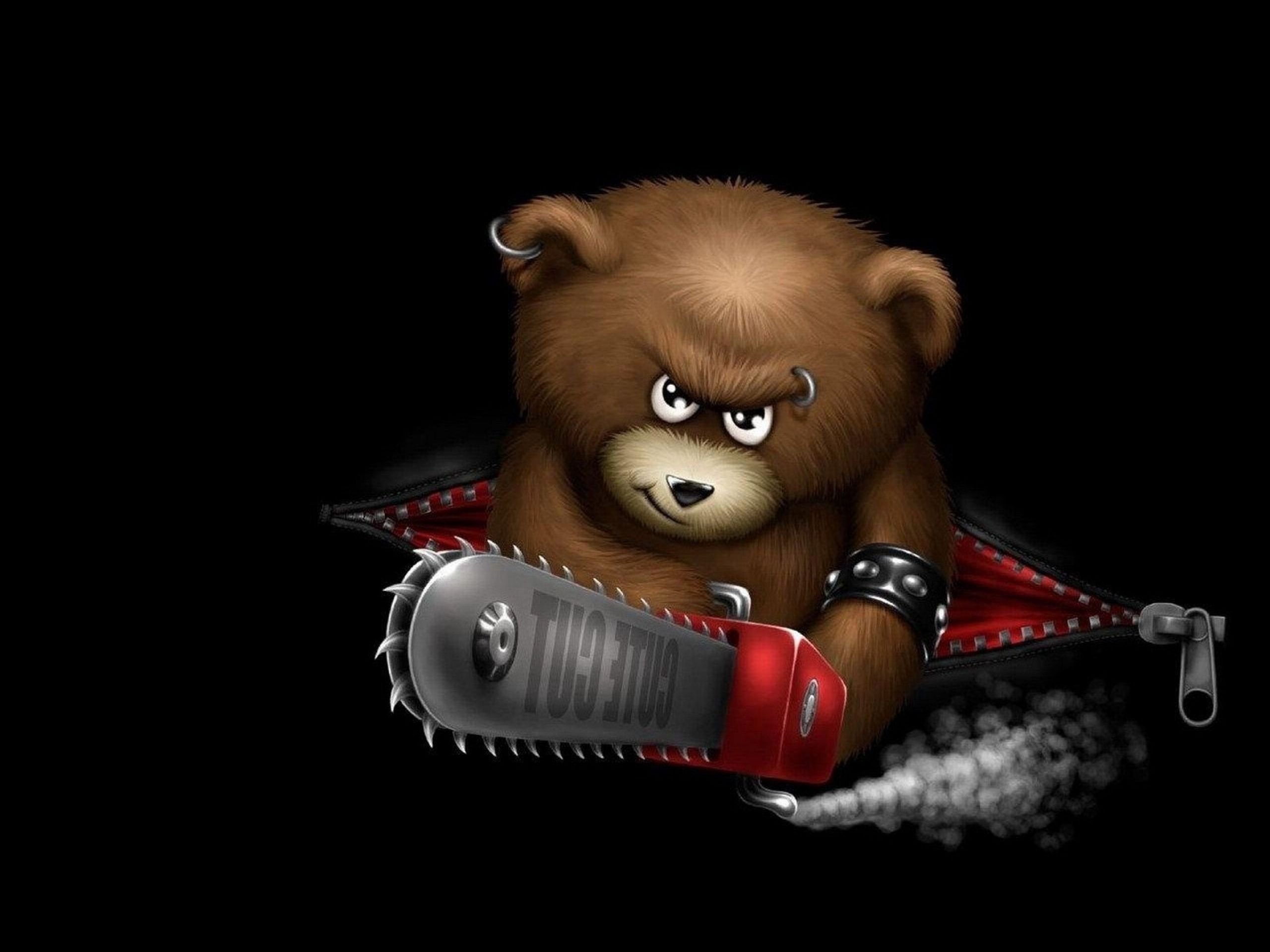 Funny Bear Wallpapers