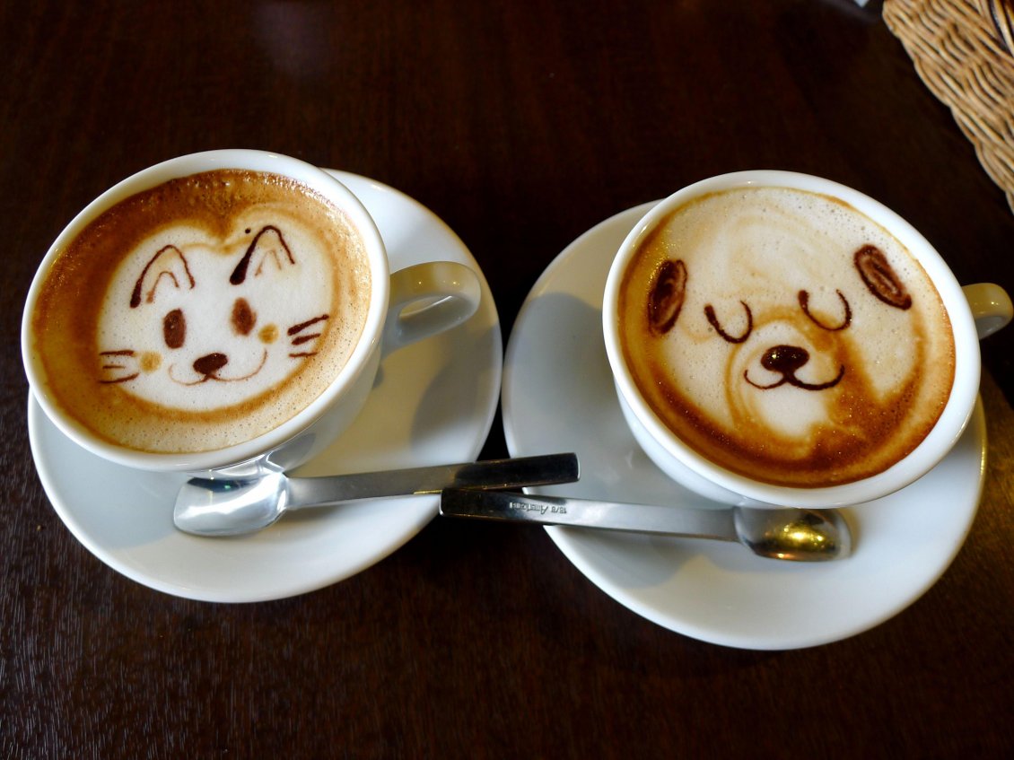 Funny Coffee Pictures Free Wallpapers