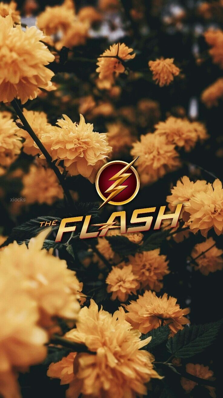 Funny Flash Wallpapers